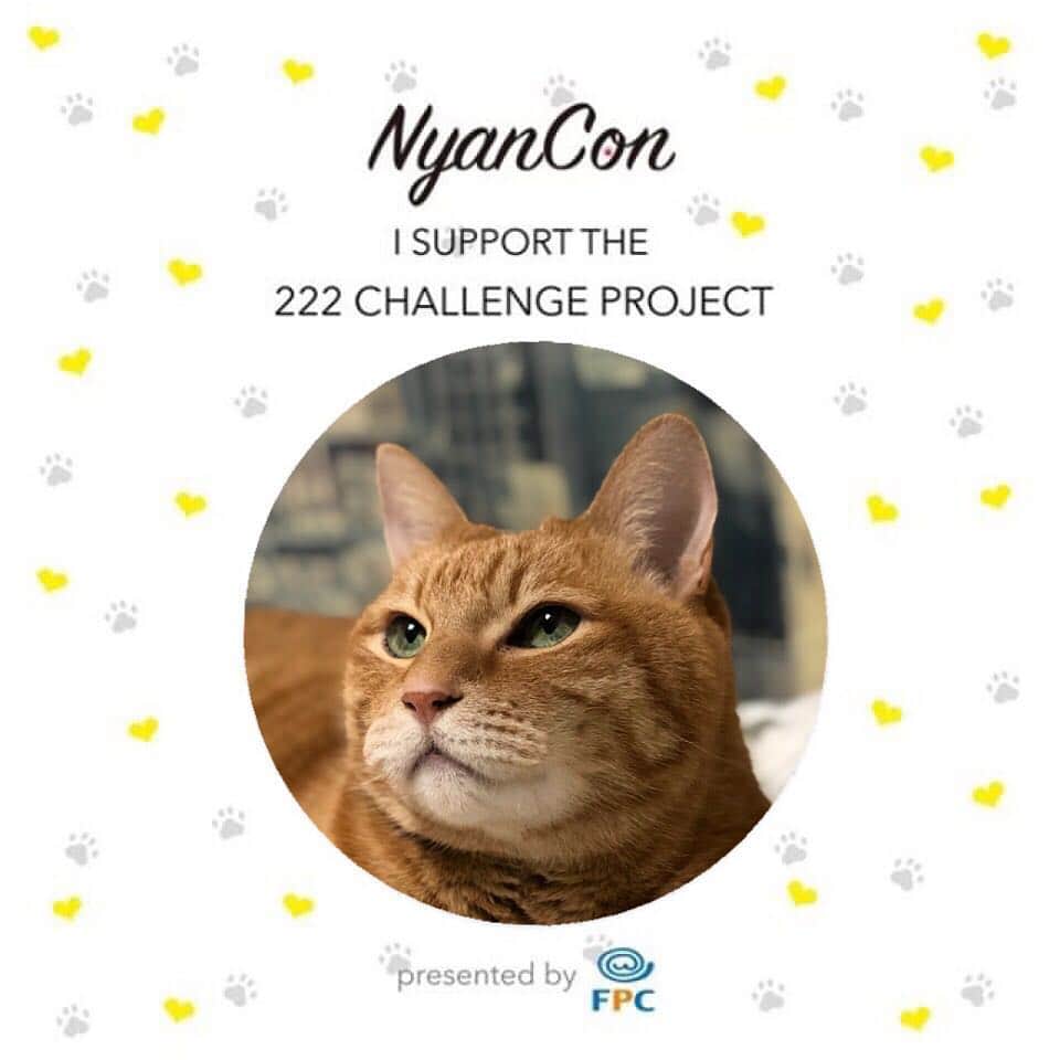 mayumiさんのインスタグラム写真 - (mayumiInstagram)「20190419 ✩ NaynCon（ニャンコン）様のプロジェクトのサポーニャンをしております！ @nyancon01 ． プロジェクト名は 222（にゃんにゃんにゃん）CHALLENGE PROJECT ． 1ヶ月で愛猫ちゃんのお写真22,200枚🐾 ． ミッション達成で「かながわペットのいのち基金」へ22,200円を寄付をさせていただきます🍀 ． 🐾参加方法 ① @nyancon01 さまをフォロー ② お好きな色のフレームをスクリーンショットして愛猫ちゃんのお写真をコラージュ ③ #nyancon01 #222サポーニャン をつけて投稿 ♪ ． ． 詳しくは @nyancon01 さまのWebサイトからチェックしてくださいね♥️ ． ． #222nyaichallengeproject #かながわペットのいのち基金 #fpcペット保険 ． ． #シブにゃん隊over10 #無敵の親バカ同盟 #IGersJP#ふわもこ部 #テリー2019 ． #cat#猫#ねこ#ネコ#茶トラ#gingercat#catstagram#instacat #Excellent_cats#cat_features#catofinstagram」4月19日 12時44分 - imuyamotas