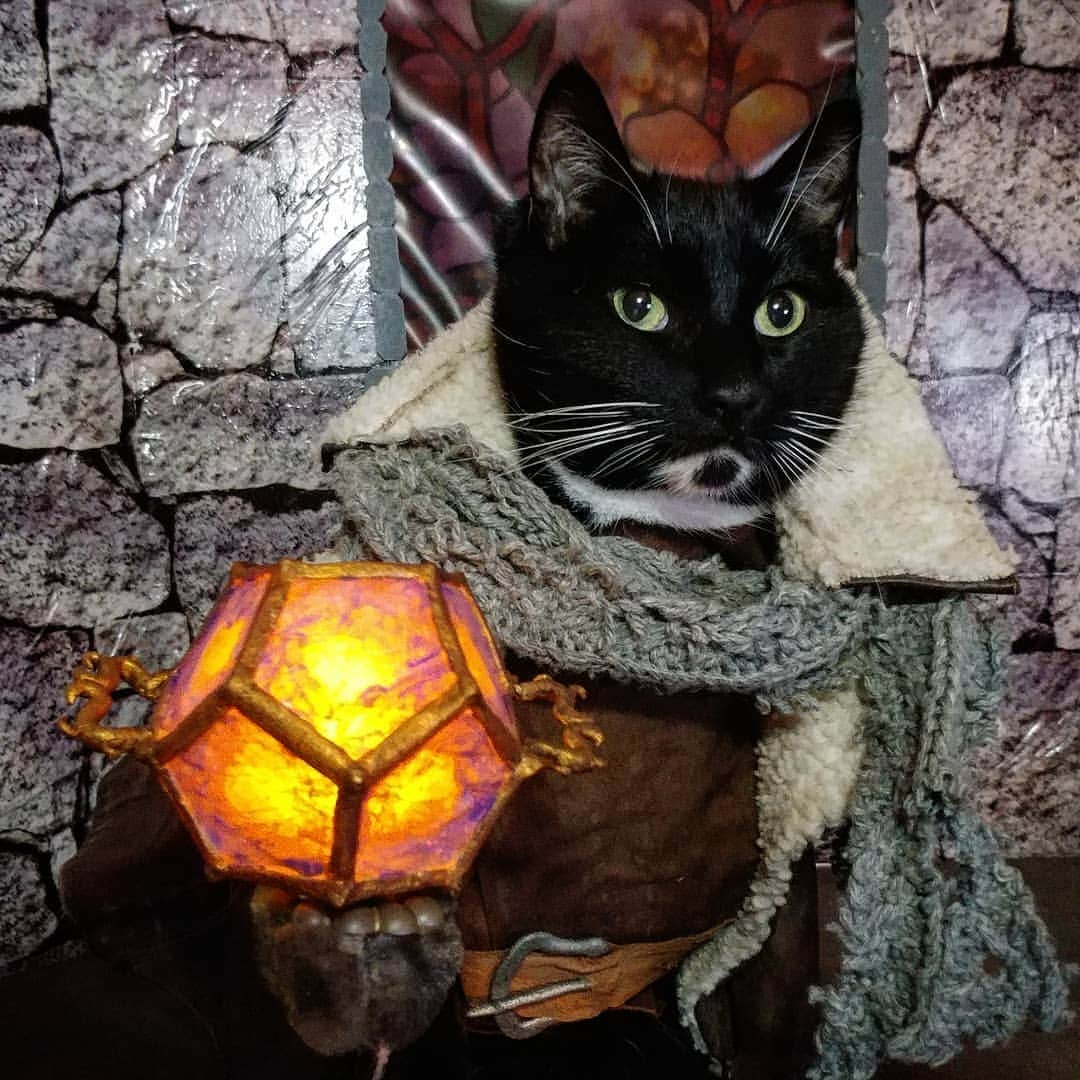 猫コスプレさんのインスタグラム写真 - (猫コスプレInstagram)「"Hope"  Congratulations @critical_role on an amazing Kickstarter! We can't wait to see what reality you make of it!  #CriticalRole  #CalebWidogast #Dodecahedron . . . . . . #criticalcostumes #criticalcosplay #criticalrolefanart #catcostume #DungeonsandDragons #dnd #wizard #CatCosplay」4月19日 13時20分 - cat_cosplay