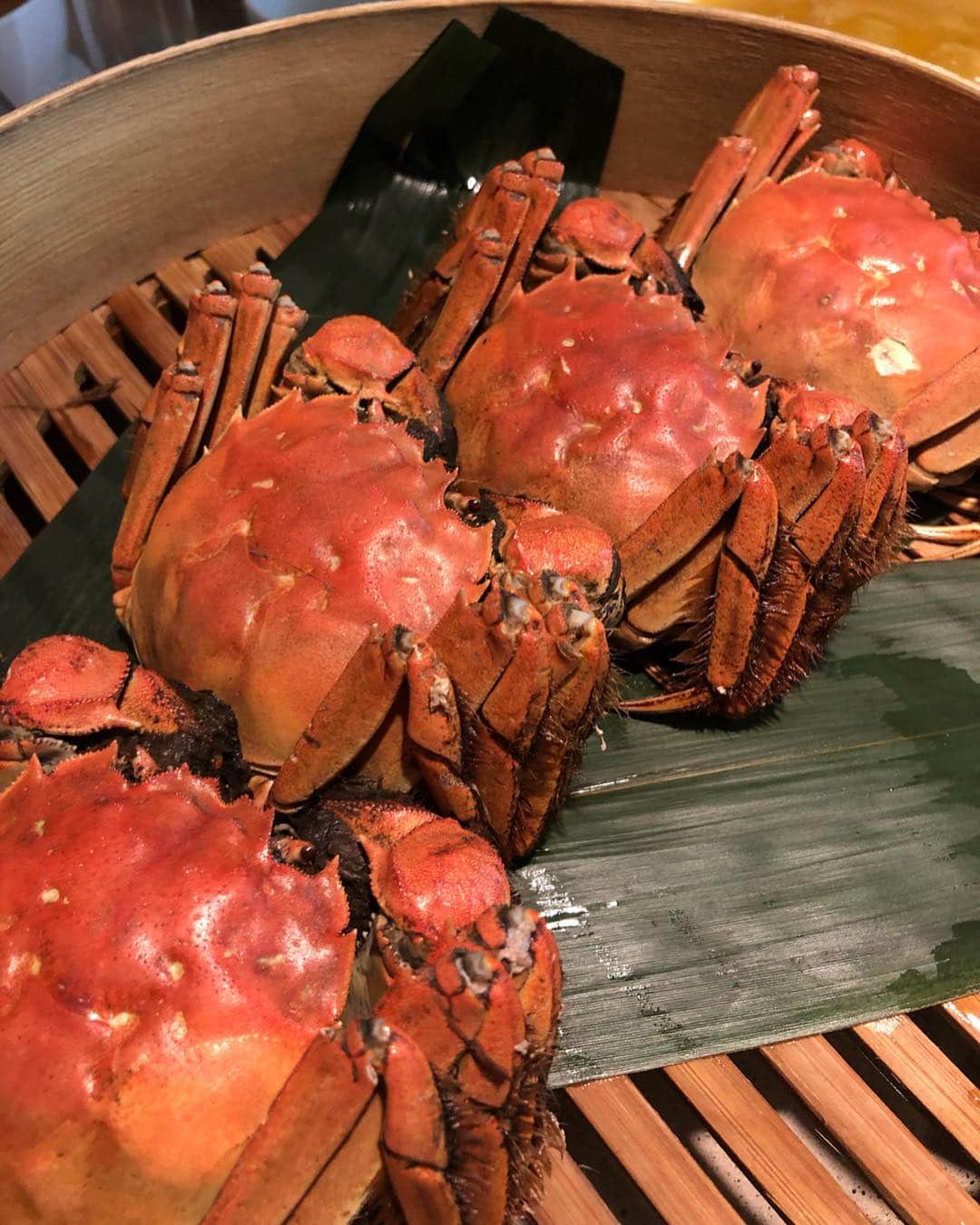 工藤ジェニファー茉侑さんのインスタグラム写真 - (工藤ジェニファー茉侑Instagram)「上海蟹🦀紹興酒漬け🙆‍♀️ うなぎ🙅‍♀️❌フカヒレ🙆‍♀️⭕️ 紹興酒は高いの頼むべし✅  #中華 #上海蟹 #上海旅行 #asiangirl #asiangirls #japanesegirl #グルメ好きな人と繋がりたい #海外旅行  #旅行 #たびじょ #tripstagram #旅行好きな人と繋がりたい #旅好きな人と繋がりたい #旅行写真 #asiatrip #tripasia #traveloregon #シンガポール #travelphotography #vacation #airplain #上海 #シンガポール旅行 #singapore #タビジョ #旅好きと繋がりたい #beer #shanghai #上海グルメ」4月19日 13時27分 - jennifermayu_s