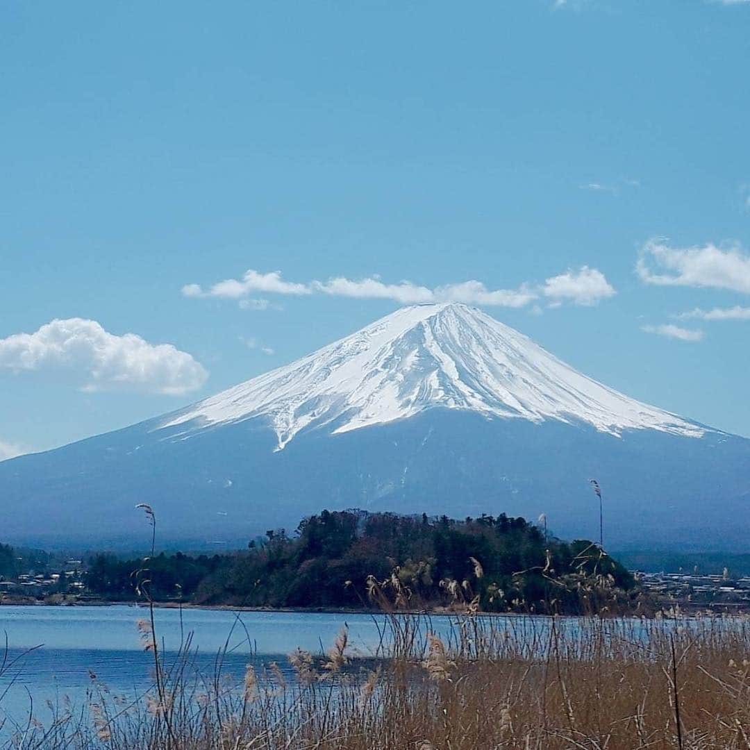 フレシャス公式(FRECIOUS) さんのインスタグラム写真 - (フレシャス公式(FRECIOUS) Instagram)「こちらは先日、富士山の麓・大石公園にいったときに撮影したもの。 良く晴れた春らしい青空に、富士山の美しい姿をくっきりと臨むことができました✨ . 来週末にはGWに入りますね。 元号をまたにかけ、平成から令和へと移り変わります。 そんなちょっと特別なGW、皆さまお出かけのご予定はお決まりですか？ . ───────────── ★ほぼ毎日更新中！★ こちらよりフォローしてください♪ ↓　↓　↓ 【フレシャス公式】 @frecious_official ───────────── . . #フレシャス #FRECIOUS #天然水 #富士山 #mtfuji #富士山の銘水 #今日の富士山 #ウォーターサーバー #絶景 #世界遺産 #世界文化遺産 #山梨 #山梨県 #富士吉田 #シンプル #シンプルライフ #丁寧な暮らし #ていねいな暮らし #冬の富士山 #雪化粧 #mountain #japan」4月19日 13時58分 - frecious_official