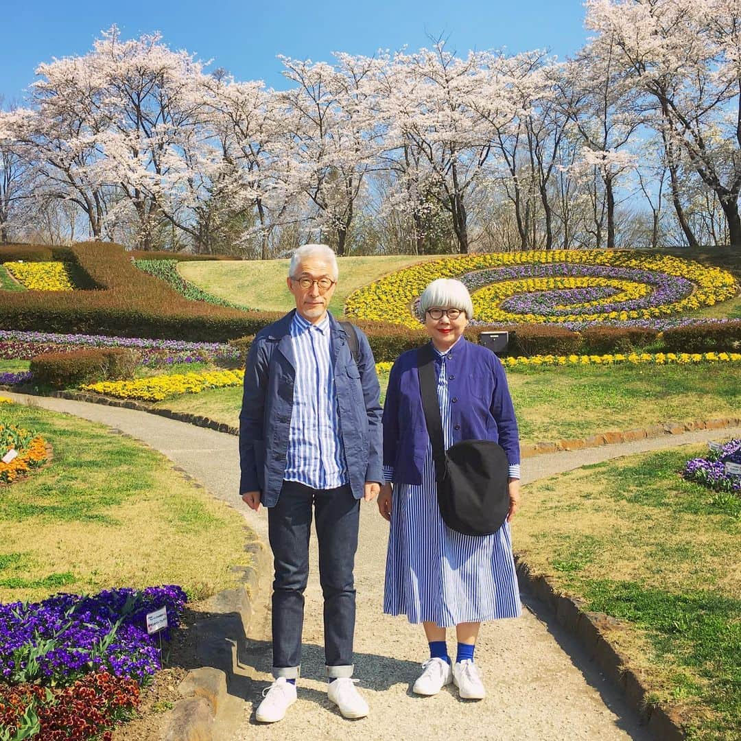 bon ponさんのインスタグラム写真 - (bon ponInstagram)「昨日、初夏のようなポカポカ陽気に誘われて、国営みちのく杜の湖畔公園( @michinokupark )へ出かけてきました。 広い園内の桜は満開🌸🌸🌸 パンジーや芝桜も咲いて、春爛漫の風景が広がって、とても気持ちが良かったです😊😊🌷🌼💐 ・ bon ・ジャケット(UNIQLO) ・シャツ(GU) ・パンツ(UNIQLO) pon ・シャツジャケット(UNIQLO × INES) ・ワンピース(楽天 SO) ・まるショルダーバッグ(大橋歩 イオグッズ) ・ #みちのく湖畔公園 #みちのく杜の湖畔公園 #夫婦 #60代 #ファッション #コーディネート #リンクコーデ #夫婦コーデ #グレイヘア #白髪 #共白髪 #couple #over60 #fashion #coordinate #instafashion #instagramjapan #greyhair #bonpon511」4月19日 13時55分 - bonpon511