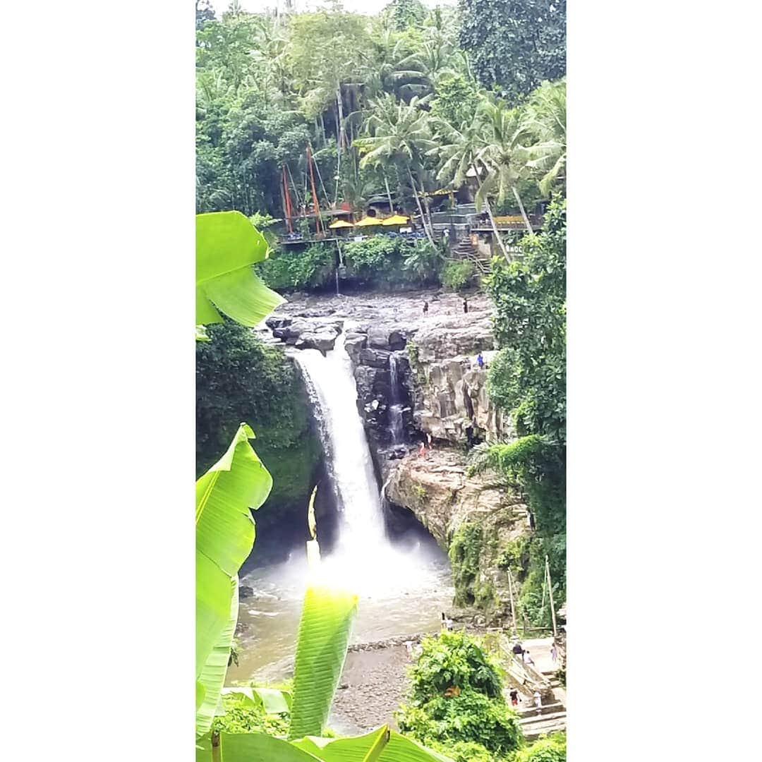 池田夏希さんのインスタグラム写真 - (池田夏希Instagram)「Tegenungan Waterfall🌿✨✨✨ . . #バリ島 #海外旅行 #観光 #ウブド #テグヌガンの滝 #パワースポット #自然からのエネルギー #行けて良かった #bali #baliindonesia #travel #travelphotography #tourism #ubud #tegenunganwaterfall #powerspot #nature #energy」4月19日 14時02分 - natsukiikeda624