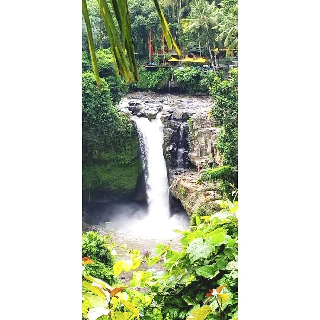 池田夏希さんのインスタグラム写真 - (池田夏希Instagram)「Tegenungan Waterfall🌿✨✨✨ . . #バリ島 #海外旅行 #観光 #ウブド #テグヌガンの滝 #パワースポット #自然からのエネルギー #行けて良かった #bali #baliindonesia #travel #travelphotography #tourism #ubud #tegenunganwaterfall #powerspot #nature #energy」4月19日 14時02分 - natsukiikeda624