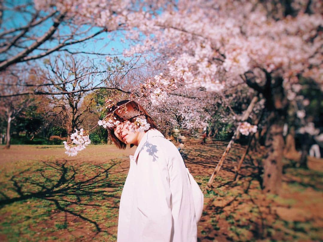 小越勇輝さんのインスタグラム写真 - (小越勇輝Instagram)「あっついなぁ。 半袖になっちゃうよ〜  #桜 #さくら #サクラ #sakura」4月19日 14時16分 - yuki_ogoe
