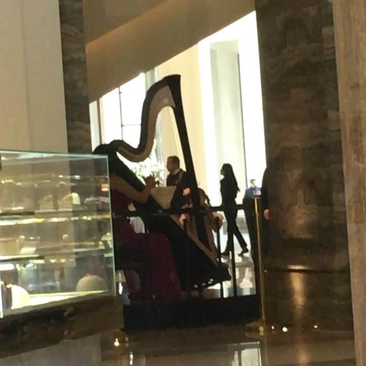 のインスタグラム：「先日の韓国での仕事のときにホテルのエントランスで生演奏をやっていた。 なんの曲か知らないけど、とても切なく、悲しく、でも心地良い曲。曲名を知りたい。  #勇者が帰って来たら滅ぼされていた村で流れそうな曲」