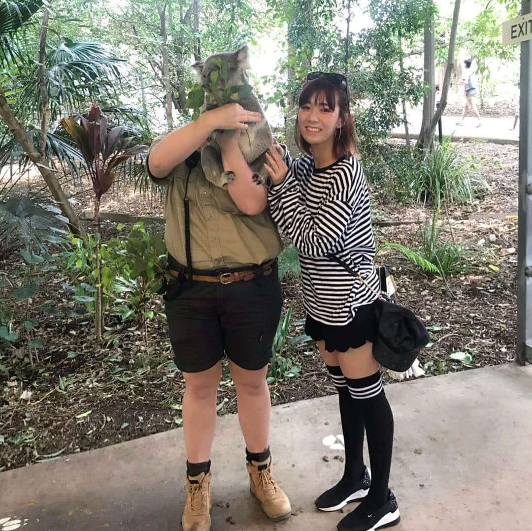 夏奈子さんのインスタグラム写真 - (夏奈子Instagram)「オーストラリア🇦🇺 ブリスベン❤️ コアラ🐨ふわふわで 可愛かった〜❤️ カンガルーも🦘 めちゃくちゃ人間慣れしていて たくさん触らせてくれました(^^) 匂いも嗅いだけどw 臭くなかった❤️ とりあえず動物に触れ合うと必ず顔を埋めて匂い嗅ぎたい派。笑  個人的には コウモリも嬉しかった(^^) 普通にその辺にいるイグアナも当たり前すぎて すごかったなぁ〜♫ ローンパイン・コアラ・サンクチュアリ（Lone Pine Koala Sanctuary）はオーストラリア・クイーンズランド州の州都ブリスベンの郊外へ直線距離にして南へ7kmほどのサバーブであるフィグツリー・ポケットに位置し、ブリスベン川に面する。 世界最長の歴史を持ち、世界最大のコアラ保護区である。  ウィキペディアさんより。  ブリスベンからキュランダまで飛行機に乗って移動✈️ オーストラリアは ほんとに広い！！ #オーストラリア #ブリスベン #ローンパイン #コアラ #サンクチュアリ（Lone Pine Koala Sanctuary） #コウモリ #カンガルー #cute  #love #instagood #instadiary #instalike #instamood #instalove #instafollow」4月19日 15時29分 - chankana0609