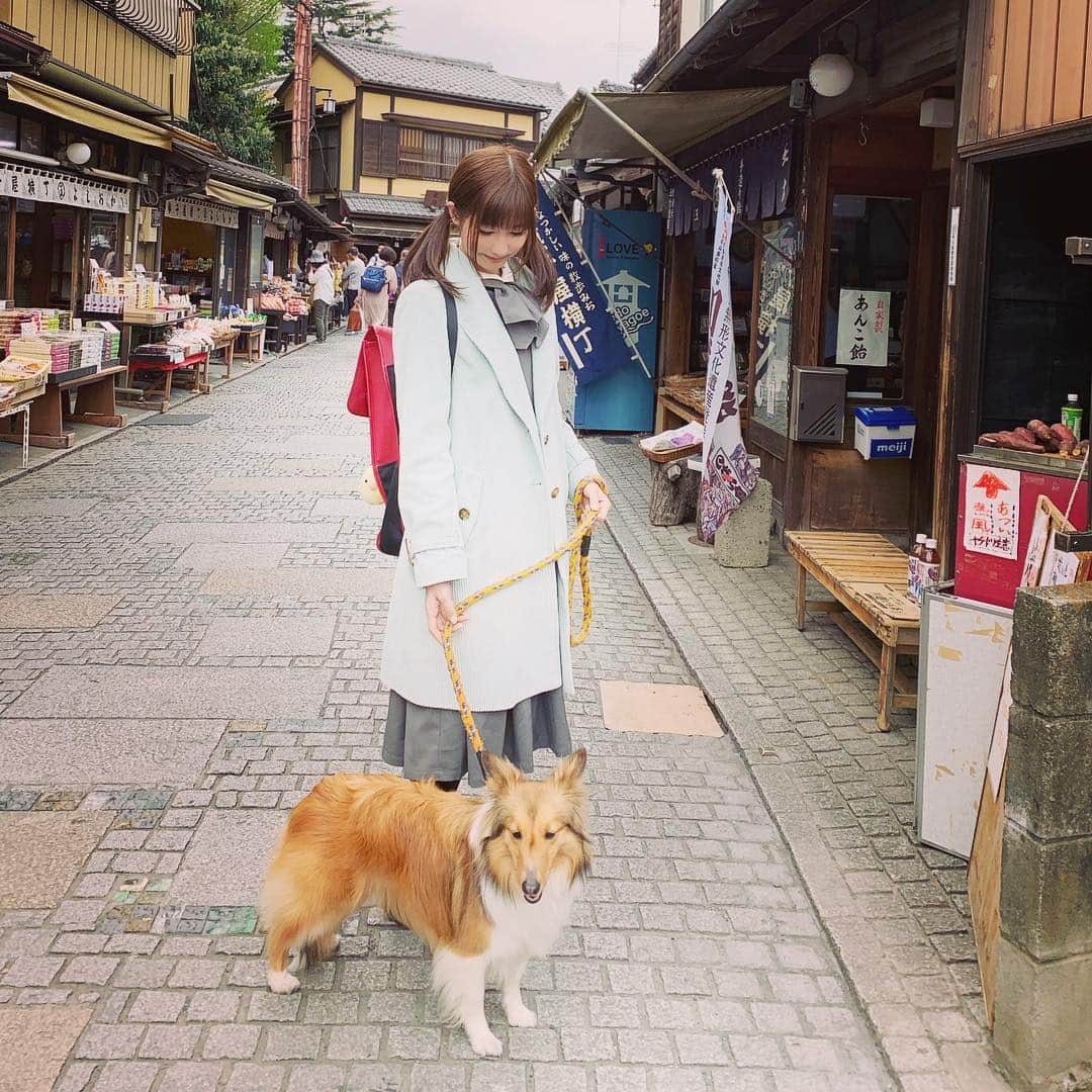 渚のインスタグラム：「メルさんぽで川越の菓子屋横丁へ💕 #dog #dogs #dogstagram」