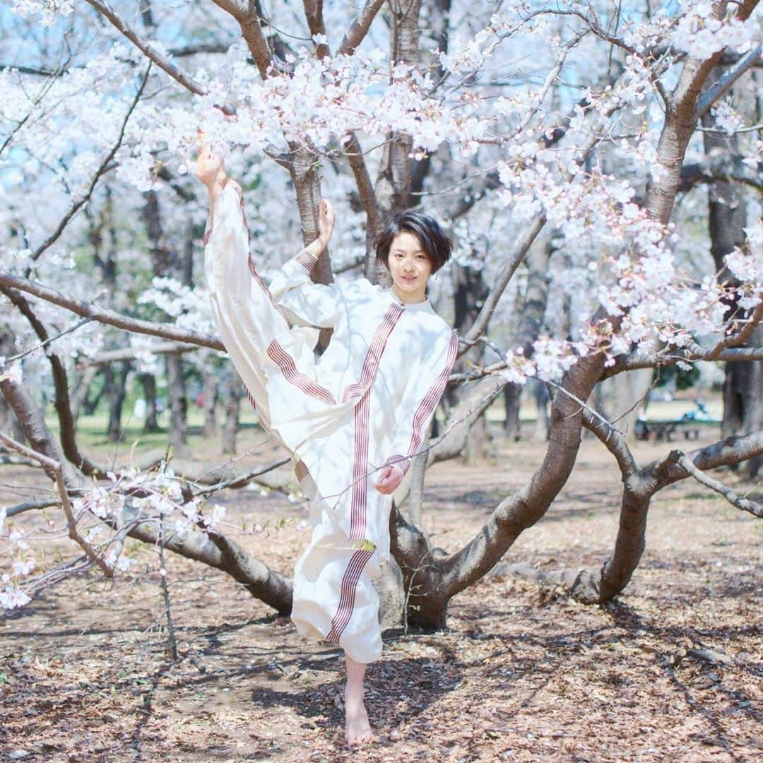 佃井皆美さんのインスタグラム写真 - (佃井皆美Instagram)「毎日あったかいね。 もう桜の季節終わっちゃうから、 載せよう。 梅棒の飯野高拓さん撮影の作品。 【桜×佃井皆美】 #佃井皆美 #飯野高拓 #桜 #アクション」4月19日 16時01分 - minamitsukui