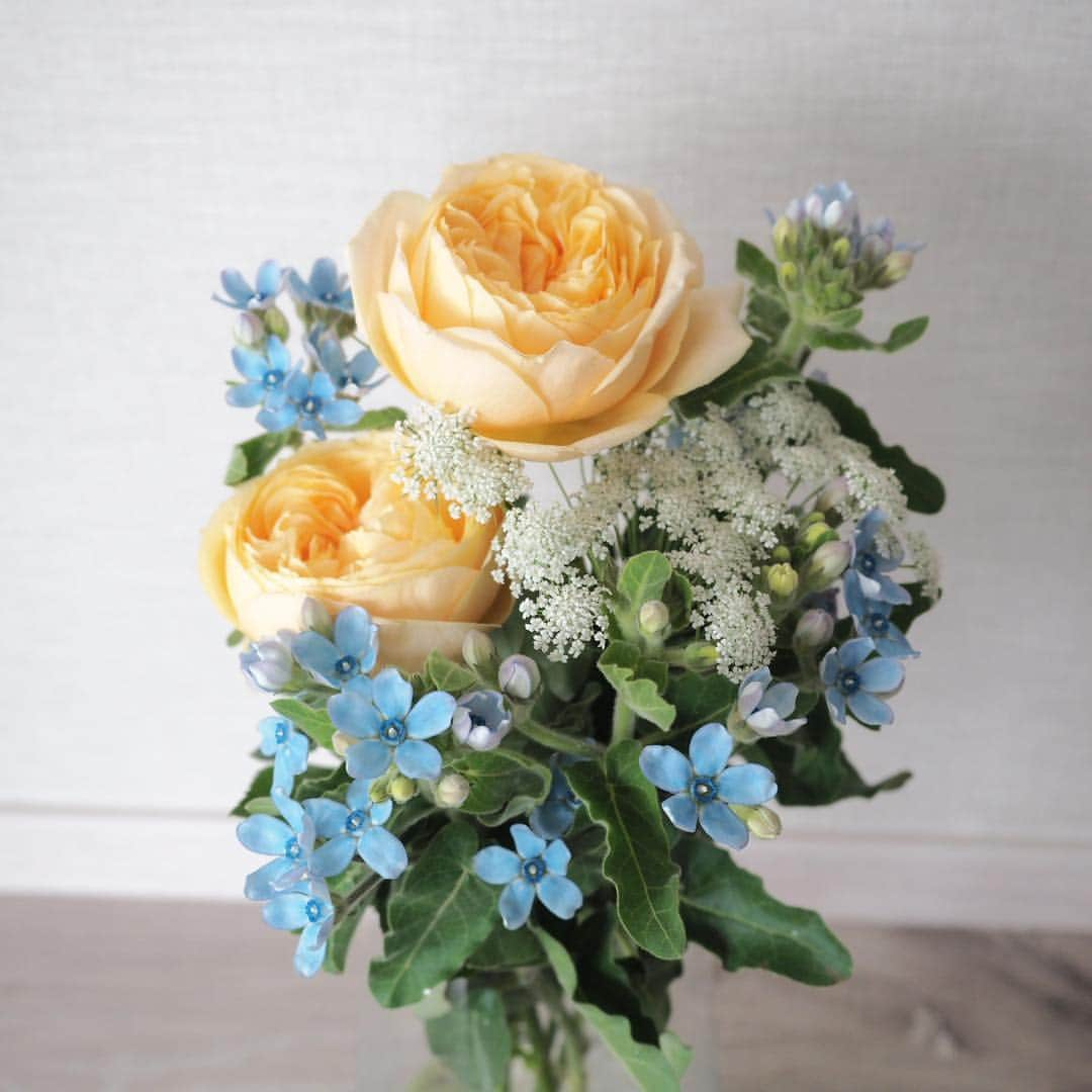 Rubyさんのインスタグラム写真 - (RubyInstagram)「ㅤㅤㅤㅤㅤㅤㅤㅤㅤㅤㅤㅤㅤㅤㅤ Early birthday bouquet for my human from her best friend 💐 先日、1ヶ月早いお誕生日ディナーへ親友がご招待してくれました。 大好きなケイトスペードの欲しくて欲しくてどうしようもなくお店に在庫確認までして買いに行こうとした傘と、やっぱり欲しいからお取り置きしていたノートを頂き(私が欲しいものを熟知している親友💕)1組だけしかおもてなししない素晴らしく美味しいお店で周りを気にせずお喋りに花を咲かせ、こんなにステキなお花まで頂き。心置きなく話せる友人との時間が一番楽しい😊 お花はもうすぐ1週間経つのにまだまだ元気。さらにまだ蕾が開いてきていて、うちのインテリアに合わせて選んでくれたお花はリビングを華やかにしてくれていて、毎日幸せです。朝、お花に話しかけながらお世話する時間が大好き。 ルビたんはお花は自分のためだと思っているみたい😆 可愛いね、お花💐っていうたびに、可愛いって言葉に反応して尻尾振ってやってきます💕お花もルビたんも可愛いよ❤️ #yorkie #ヨーキー #yorkshireterrier #ヨークシャテリア」4月19日 16時08分 - ruby_the_yorkie