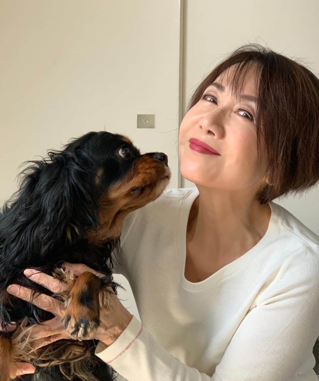 奈美悦子さんのインスタグラム写真 - (奈美悦子Instagram)「ラブラブ💓我が家の愛犬クッキー君！#愛犬#男の子#2歳#キャバリア#キャバリアキングチャールズスパニエル #ブラックタン #可愛い#癒し #親バカ」4月19日 16時17分 - nami.etsuko