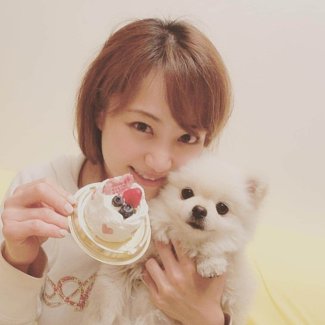 葵ゆりかさんのインスタグラム写真 - (葵ゆりかInstagram)「愛しのおもち。 happy birthday🎂 ４月18日で、2歳になりました♡ 可愛がりすぎてか、存在が大きすぎて、もっとずっと前から一緒にいる気がするけど…。 ワンワン吠えるし、たまに噛むし、人から見たらかなりどうしようもないわんちゃんだけど、 いつも一生懸命で、子供には優しく、家族思いの、意外といいやつなんです。笑 心から、大好きだよ♡ いつもそばにいてくれてありがとう♥️ #happybirthday #birthday #2歳 #愛犬 #おもち #pomeranian #ポメ #白ポメ #ポメラニアン #dogstagram #instadog #dog #犬バカ部 #親バカ #わんこ #わんこ部 #birthdaycake #お祝い」4月19日 16時12分 - yuriyuricchi