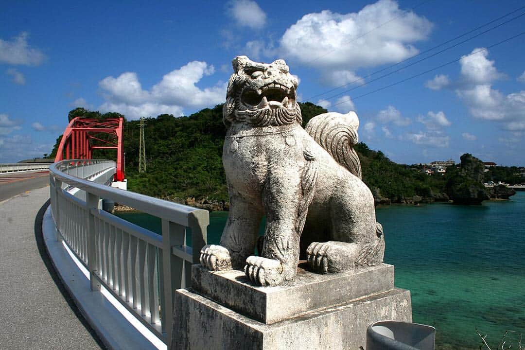 Be.okinawaさんのインスタグラム写真 - (Be.okinawaInstagram)「The Mid-Sea Road is one of the best driving spots in Okinawa. Once you see the red bridge with the Shisa, you've reached Ikei Island!  #ikeibridge #ikeiisland #kaichudoro #shisa #beach #beachlife #beachlover #beachside #beokinawa #visitokinawa」4月19日 16時19分 - visitokinawajapan