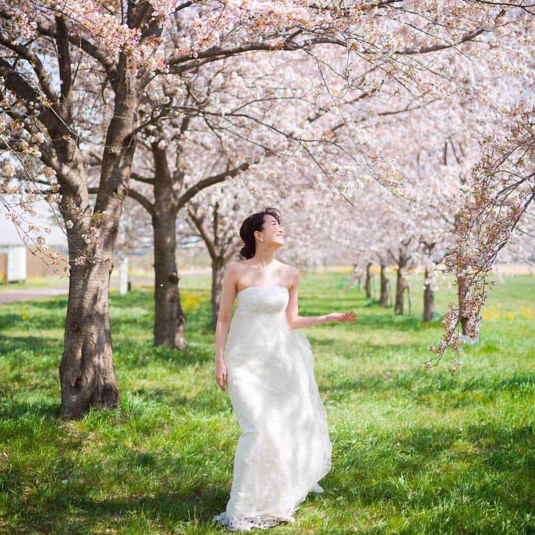 木谷有里さんのインスタグラム写真 - (木谷有里Instagram)「‪東京の桜はもうあっという間に葉桜になってしまったね🌸‬ ありがとう2019桜😊 ‪#wedding #anzphoto #lecoeulwedding‬」4月19日 16時40分 - kitani_yuri