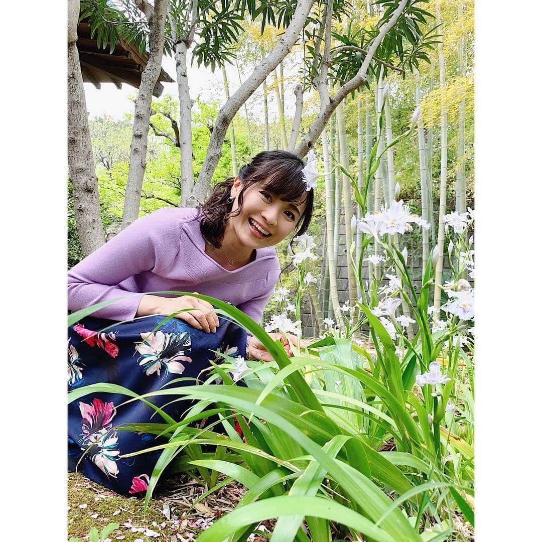 繁田美貴さんのインスタグラム写真 - (繁田美貴Instagram)「*＊ ポカポカ陽気の中 お昼休憩中に可愛いお花を発見！ スカートの柄に少し似ているような。。☆ #ワタシが日本に住む理由 #収録現場 のお庭では #季節の花々 が楽しめます♪ #これは何てお花でしょう 🤔？」4月19日 16時44分 - handa_miki