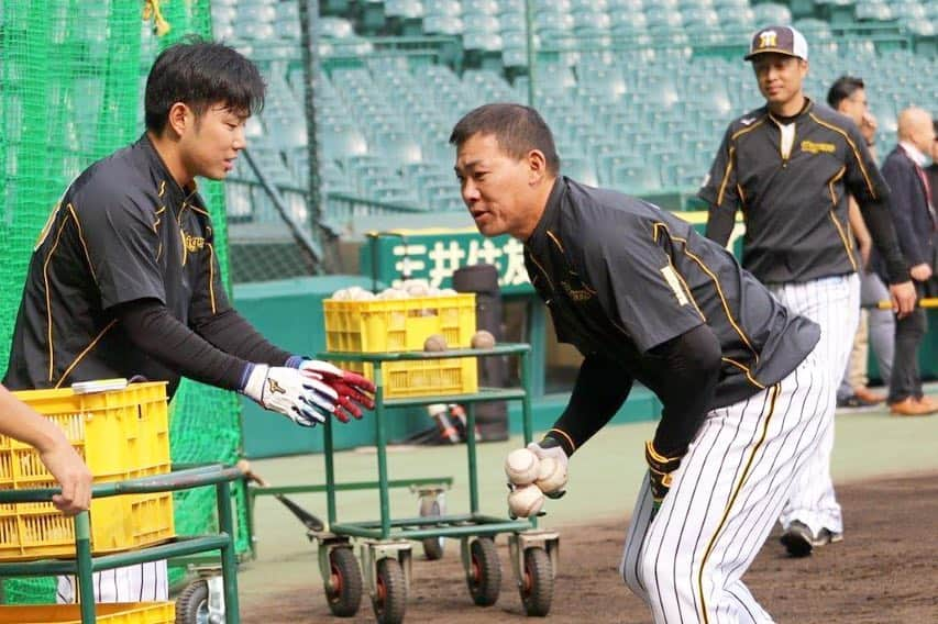 阪神タイガースさんのインスタグラム写真 - (阪神タイガースInstagram)「今日の練習中、糸原選手を撮影していたら、後ろから視線が…。その後も糸原選手のボール拾いを手伝ったりとインスタにネタを提供してくれる優しい福留選手でした😄 #福留孝介 選手 #糸原健斗 選手 #新旧キャプテン  #先輩が後輩を手伝ってるの絵 #制止する糸原選手  #いつもオチに使われるといわれたので #全面的に使わせていただきました #いつもありがとうございます ^ ^」4月19日 16時48分 - hanshintigers_official