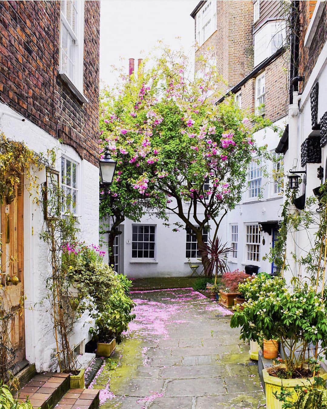 @LONDON | TAG #THISISLONDONさんのインスタグラム写真 - (@LONDON | TAG #THISISLONDONInstagram)「Start of the #Easter 4-day weekend! 🐣 Here’s @a_ontheroad in #Hampstead! Gorgeous shot! 😱😍🌸 Forecast looks amazing! Let’s do this! ☀️ // #thisislondon #london」4月19日 16時57分 - london
