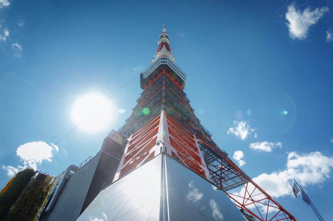 東京タワーの麓の結婚式さんのインスタグラム写真 - (東京タワーの麓の結婚式Instagram)「🗼♡ The Place of TOKYO 卒花さんの声 #tptリアルボイス を ご紹介させていただきます♡ . 🗼「見上げるタワーは大迫力‼️」 🗼「目印🗼があって迷わない♪」 🗼「観光気分になれる🧳✨」 . 日本最大級の結婚準備クチコミ情報サイト ‎ウエディングパークよりほんの一部を ご紹介させていただきました♡ . 詳細は➡︎(@theplaceoftokyo)まで♡ . #theplaceoftokyo #ザプレイスオブトウキョウ #プレイスオブトウキョウ #東京タワー #東京タワー🗼 #東京タワーで結婚式 #東京タワーが好き #インスタジェニック婚 #tokyotower #wedding #ウェディング #プレ花嫁 #卒花嫁 #2019年春婚 #2019夏婚 #2019秋婚 #2019冬婚 #結婚式準備 #結婚式場探し #式場探し #東京花嫁 #関東プレ花嫁 #日本中のプレ花嫁さんと繋がりたい #イルミネーション #東京タワー見える #東京タワーの真下」4月19日 17時49分 - theplaceoftokyo