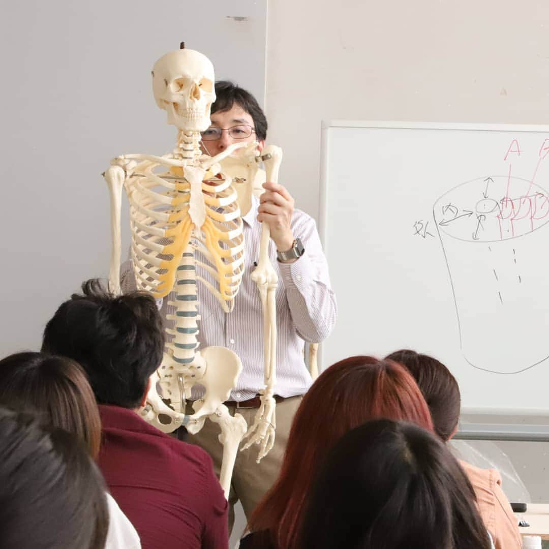 東京造形大学 Tokyo Zokei Universityさんのインスタグラム写真 - (東京造形大学 Tokyo Zokei UniversityInstagram)「_ 「彫刻表現論A」（彫刻専攻領域・2年生） 今日は解剖生理学に基づく人体構造の見方を学びました。 ・ 身体の構造を様々な角度から観察し、 各部位の動きの仕組み、 専門用語などについて理解を深めました。 ・ 人体の構造を知ることで、造形の技量を高め、 より自由で豊かな表現力を身に付けることが出来ます。 ・ #東京造形大学 #美大 #美術 #デザイン #人体 #人体模型 #解剖生理学 #彫刻 #tokyozokeiuniversity #art #design #anatomy #sculpture #anatomicalmodel」4月19日 17時56分 - tokyo_zokei_univ_official