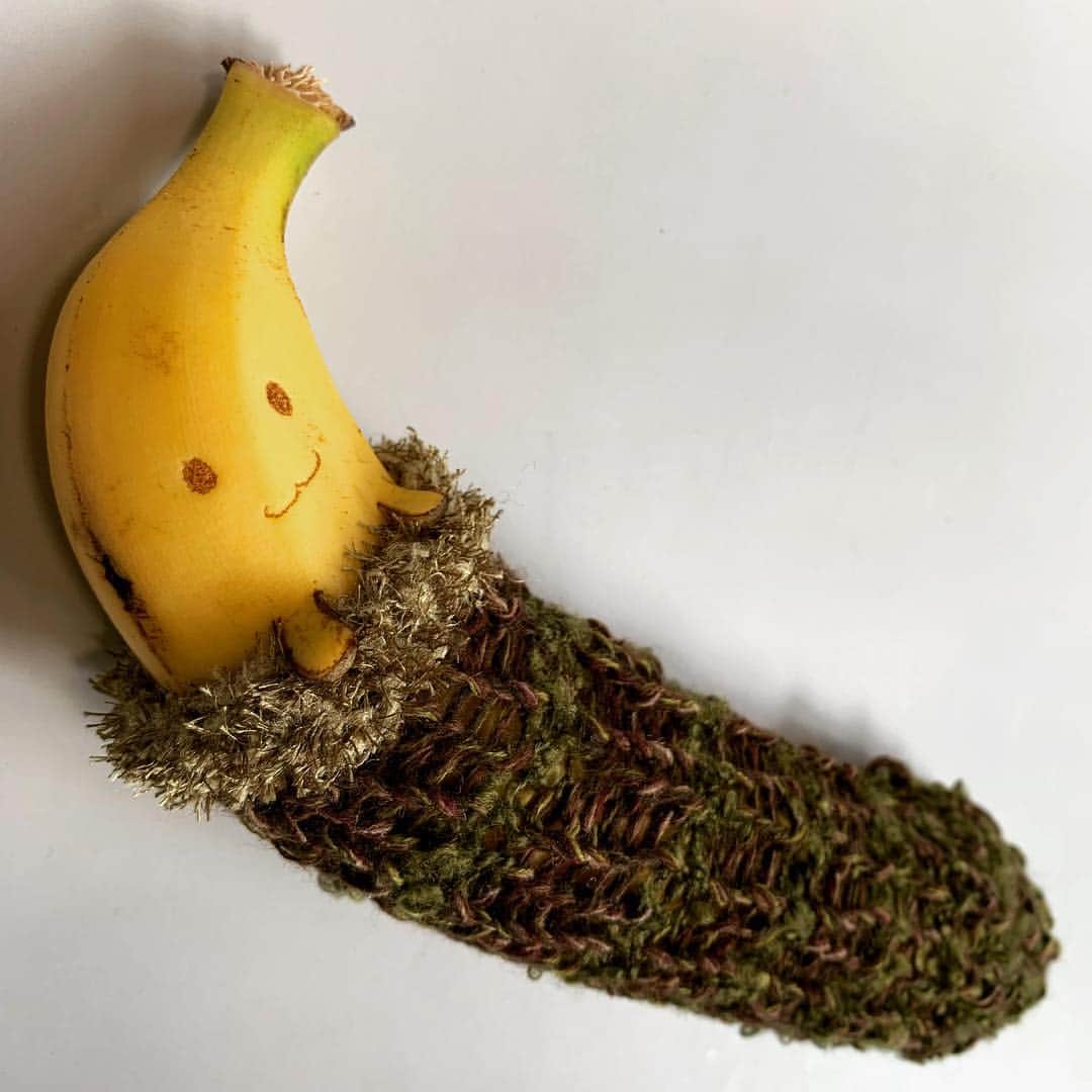 エンドケイプさんのインスタグラム写真 - (エンドケイプInstagram)「ニットデザイナーのテジーさん @tezyknit がバナナ専用ニットケースを作ってくれました！ありがとう！ 今日はそれに合わせた感じでバナナート。  #バナナート #バナナアート  #バナナ #アート #アートワーク #ニット #バナナケース #創作 #かわいい  #カワイイ  #banana  #bananaart  #endcape  #art #artwork  #knit  #bananacase  #japan」4月19日 18時00分 - endcape