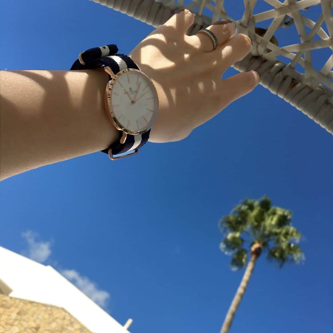スマートターンアウトのインスタグラム