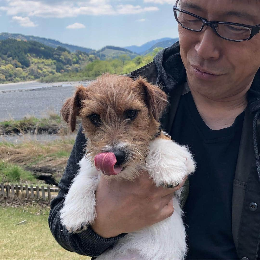 辻 よしなりさんのインスタグラム写真 - (辻 よしなりInstagram)「イチと同胎犬のバニくんと、この間お会いすることが出来ました！いやはや、感動の連続で、忘れることのできないイチ日となりました！ 最初から二人とも解っているかのように、ジャレて戯れて、この上ない喜びをイチは感じていたようです。イチとバニくんは二人ともフルマスク。兄弟でもあれだけ似ている存在には会えないと思います。ブリーダーさんからの情報でSNSで繋がることができ、今の時代だからこそ、叶った瞬間でした！ バニくんパパ、ママ、お姉ちゃま、そしてベアちゃん、夢のような時間を本当にありがとう！帰りの車の中でも、イチはずっとバニくんを探しているようでした。  #もう一人の兄弟犬ルーカスとも会えたらいいな #ジャックラッセルテリア  #いぬすたぐらむ  #感動の出会い #似ている #わんぷろ  #ワンプロエンドレス #いしんでんしん #今度もワンプロしてくれるかな」4月19日 18時09分 - yoshinari_tsuji