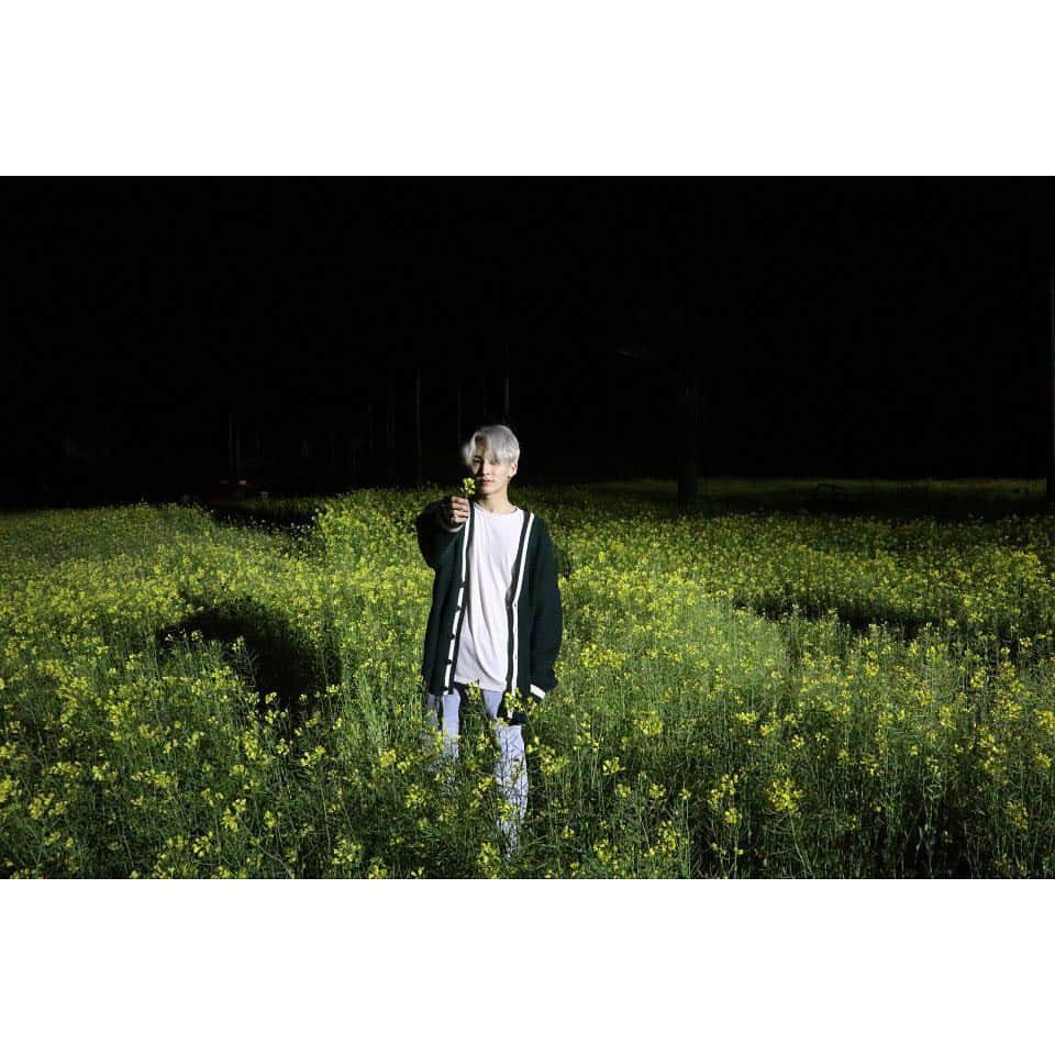 SEVENTEENさんのインスタグラム写真 - (SEVENTEENInstagram)「[17'S 정한] 🌼」4月19日 18時20分 - saythename_17