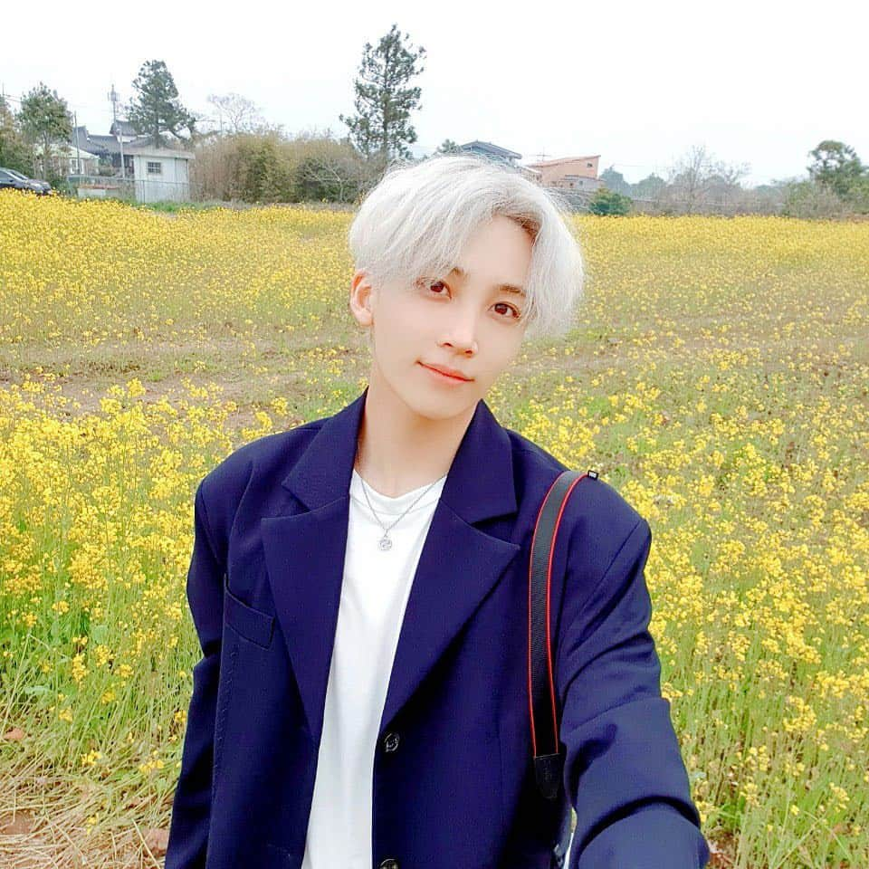 SEVENTEENさんのインスタグラム写真 - (SEVENTEENInstagram)「[17'S 정한] 🌼」4月19日 18時20分 - saythename_17