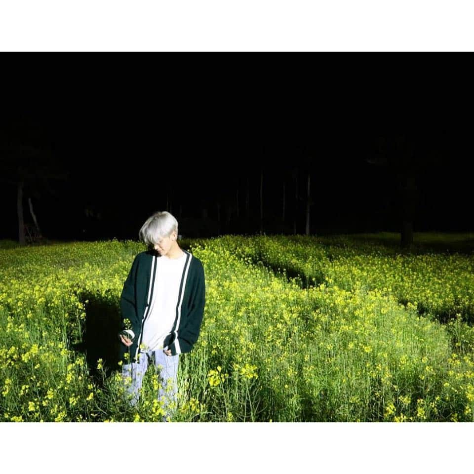 SEVENTEENさんのインスタグラム写真 - (SEVENTEENInstagram)「[17'S 정한] 🌼」4月19日 18時20分 - saythename_17