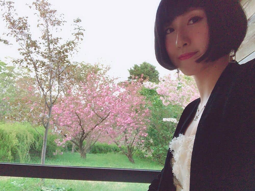 松原凜子さんのインスタグラム写真 - (松原凜子Instagram)「いよいよ、初のディナーショーが京都北山で始まります。 植物園に隣接したレストランで、ちょうど八重桜が満開🌸  なんだか夢のようなんだけど大丈夫かな私。楽しもう☺️ #京都北山 #inthegreen」4月19日 18時22分 - rinko_matsubara