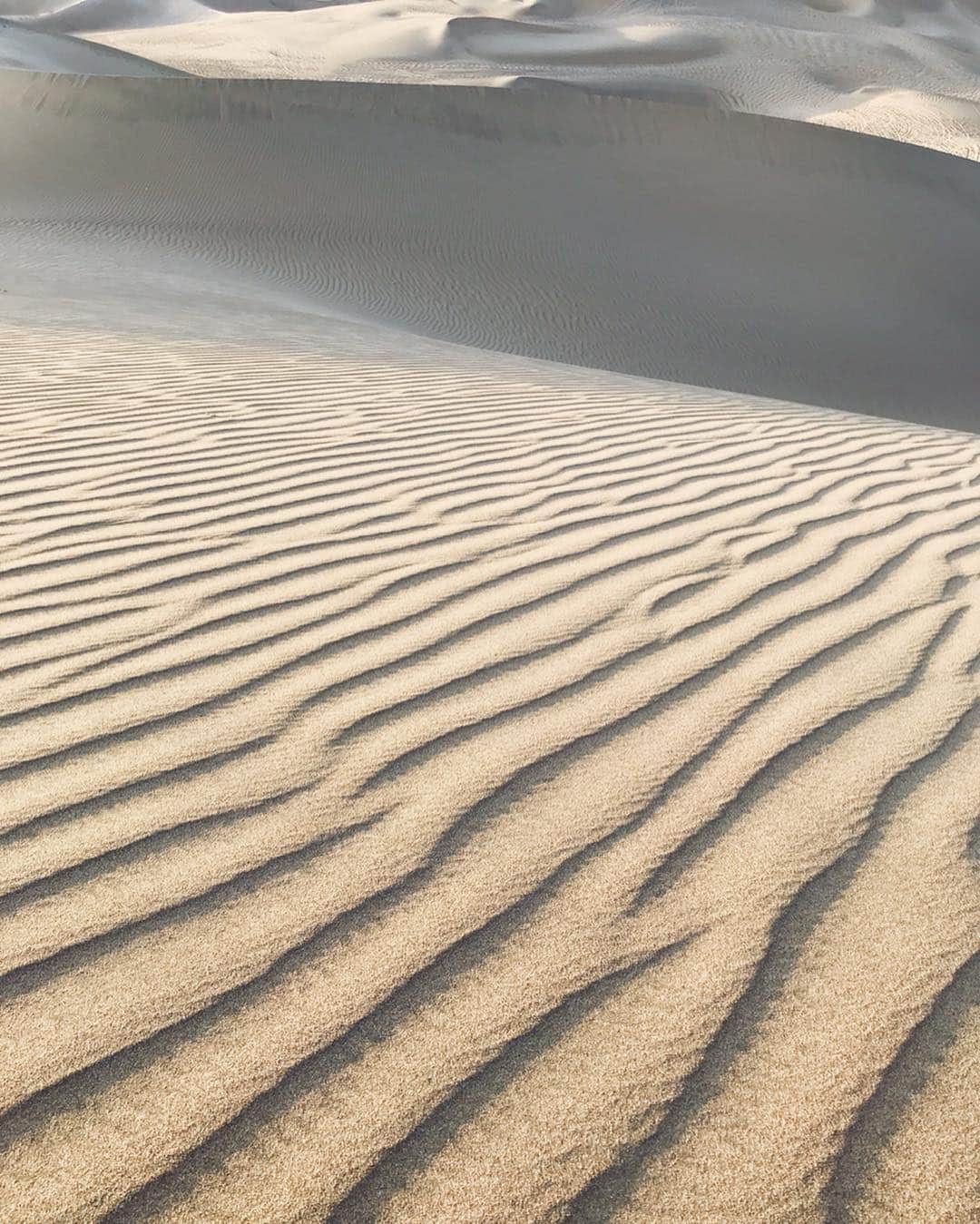 阿久津ゆりえさんのインスタグラム写真 - (阿久津ゆりえInstagram)「人生初の砂漠🏜 砂漠から見えるワカチナ湖は格別で、陽が暮れるにつれてどんどん表情が変わっていくのがすごかった！ 砂漠の中にあるオアシスを求めてきた甲斐がありました❤︎ #VisitPeru #ペルー #peru  #意外性大国ペルー #イカ  #ワカチナ湖 #砂漠の中のオアシス  #リマから車で約5時間 #yurie_travel」4月19日 18時31分 - yurie__a