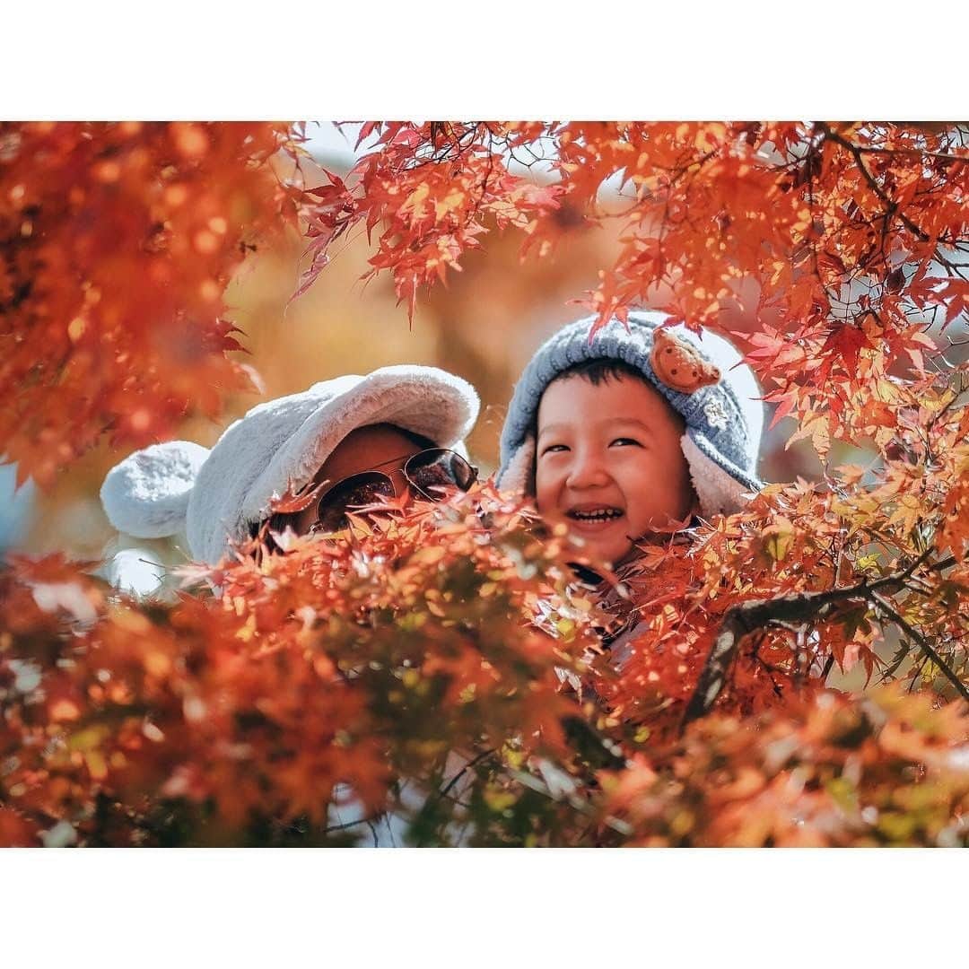 FUJIFILM INDONESIAのインスタグラム