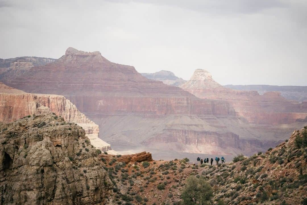 REIさんのインスタグラム写真 - (REIInstagram)「Last year, @nationalparkservice saw more than 300 million recreation visits, with people spending nearly 1.5 billion hours on NPS lands. But do you know which park was the most popular?  Find out by clicking the link in bio before you head to your favorite national park (for free) on Saturday, the start of #NationalParkWeek!」4月19日 19時01分 - rei