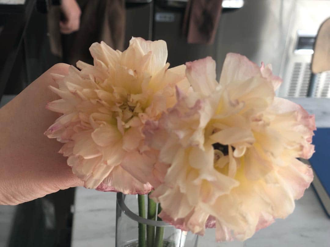 ハン・ソナさんのインスタグラム写真 - (ハン・ソナInstagram)「예쁜 꽃 사죠  팝콘꽃이 사라진다  한계절이 지나가려나  세트장엔 꽃이 없어」4月19日 19時04分 - shh_daily