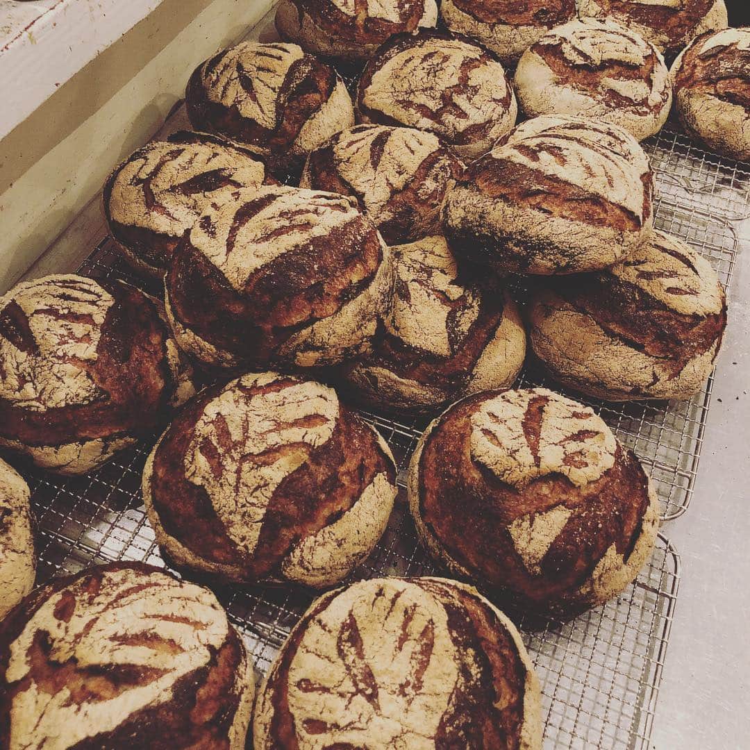 CHIPPRUSONのインスタグラム：「明日は、mumokuteki マルシェに出店します。11時半〜17時までとなります。パンは売り切れ終了ですのでお早めにどうぞ。カンパーニュは、間違えて加水を95%にしてしまい成形がベタつきましたが、形もまあまあ、味はとっても美味しく焼けたので良かったです！いつもより更に口溶けがいいのでオススメです✨栗🌰が入っているハード系やピール入りのパン・デ・ジェマなど、たくさん焼きました。市内からアクセスしやすい場所になるので、皆さまお誘い合わせてご来場くださいませ🍞🎵💓 ＊mumokuteki マルシェ完売いたしました。ありがとうございます！ ・ https://m.facebook.com/events/2142149382505585/?acontext=%7B%22ref%22%3A%2229%22%2C%22ref_notif_type%22%3A%22event_aggregate%22%2C%22action_history%22%3A%22null%22%7D&notif_t=event_aggregate&notif_id=1555538241801034&ref=m_notif」