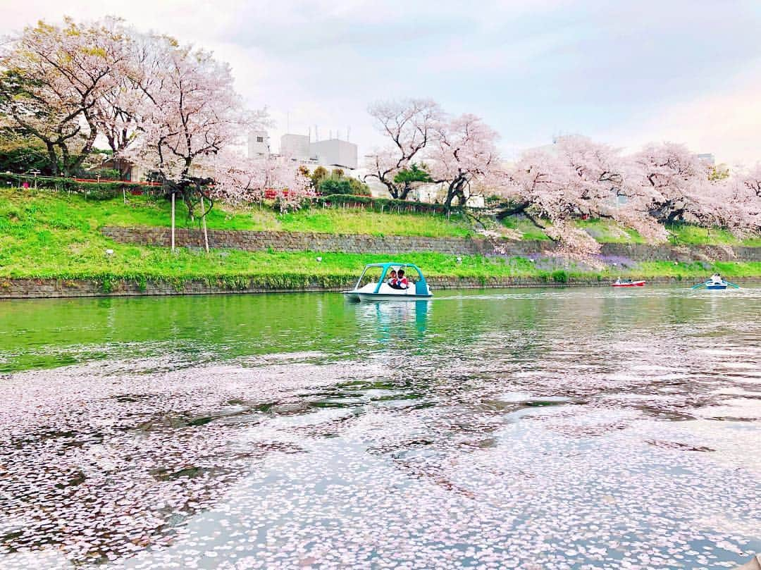 小倉星羅さんのインスタグラム写真 - (小倉星羅Instagram)「初めてボートに乗りました🚣‍♀️ #お花見」4月19日 19時32分 - seira_ogura