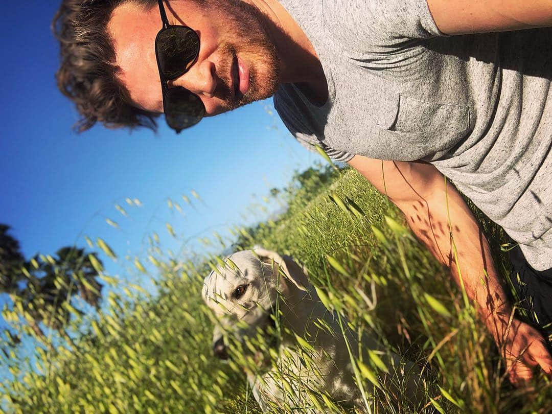 デレック・テラーさんのインスタグラム写真 - (デレック・テラーInstagram)「#Dogchella」4月20日 5時17分 - derektheler