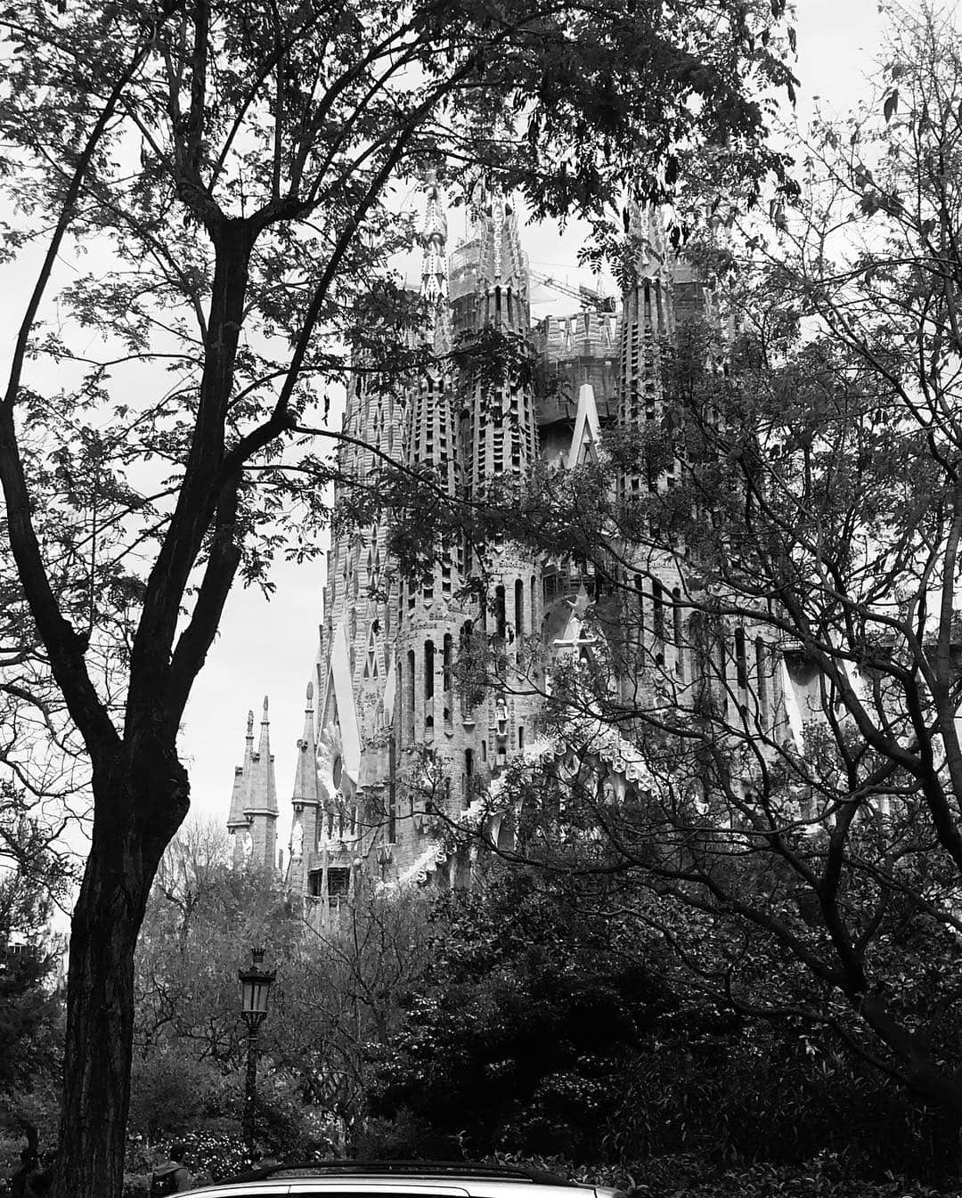 西岡良仁さんのインスタグラム写真 - (西岡良仁Instagram)「First time in 🇪🇸. When to Sagrada Família yesterday what a beautiful place.」4月19日 21時46分 - yoshihito0927