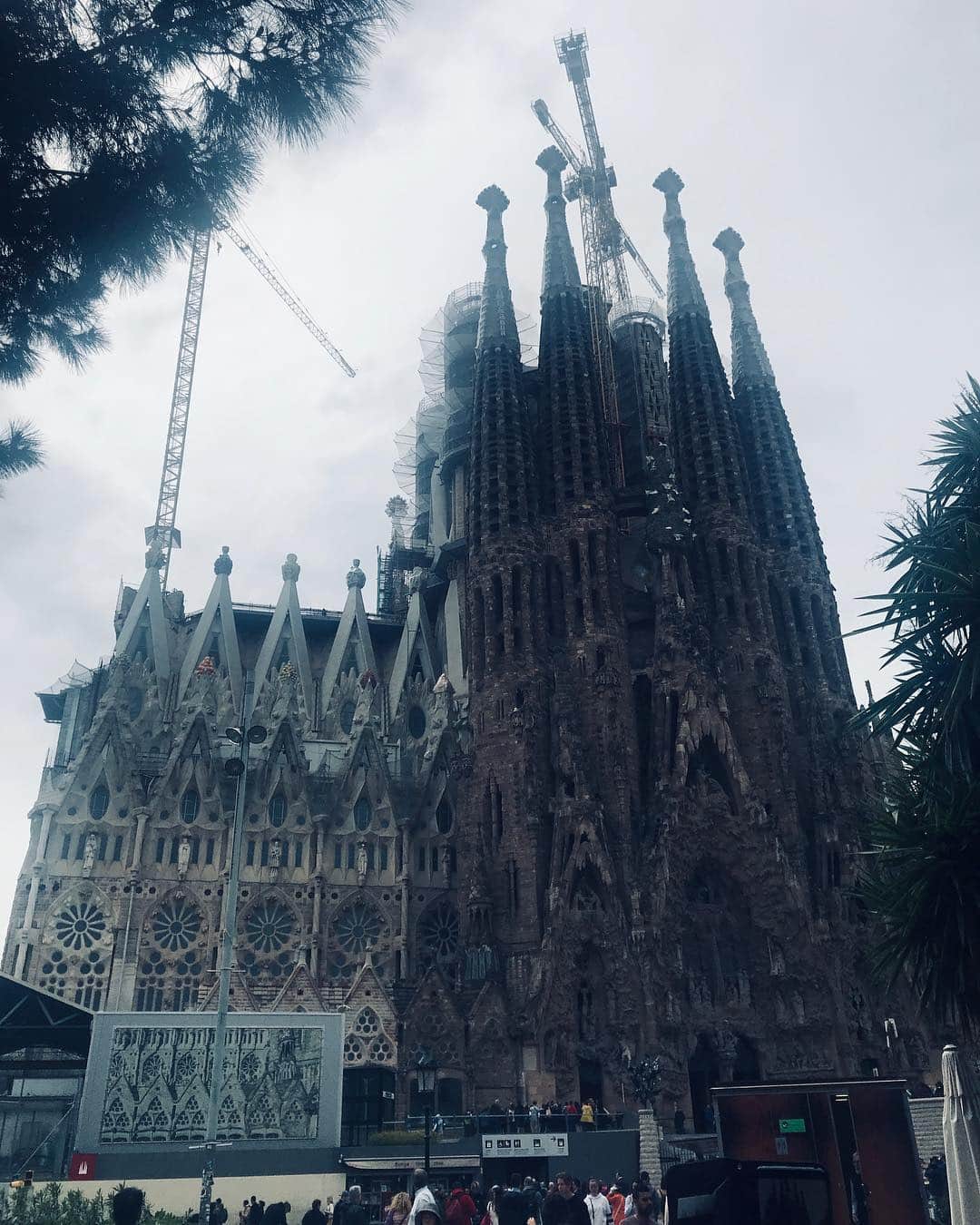 西岡良仁さんのインスタグラム写真 - (西岡良仁Instagram)「First time in 🇪🇸. When to Sagrada Família yesterday what a beautiful place.」4月19日 21時46分 - yoshihito0927