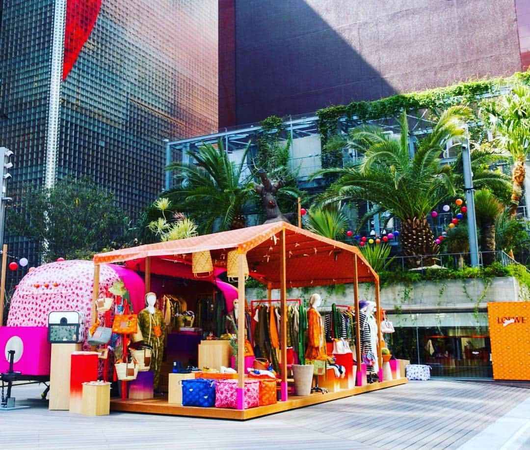 のインスタグラム：「銀座にイビザ❤️🧡💛💚💙 LOEWE Paulas Ibiza collection がカラフルで本当に可愛い💕 西畠清順さんの南国ムードたっぷりのプラント達が更に世界観を盛り上げている😍  #loewe #loewepaulas  #loewepaulasibiza #roadtrip  #ginzasonypark #seijunnishihata  #ロエベ #西畠清順」