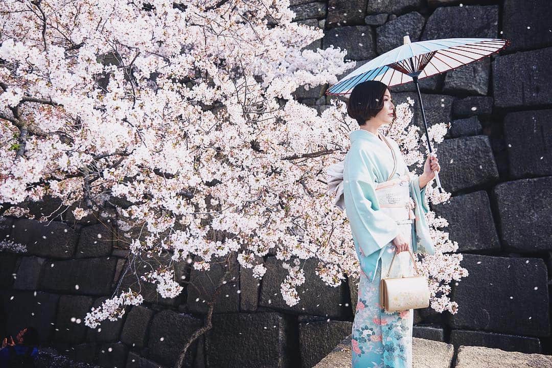 Najiiのインスタグラム：「Cherry blossoms」