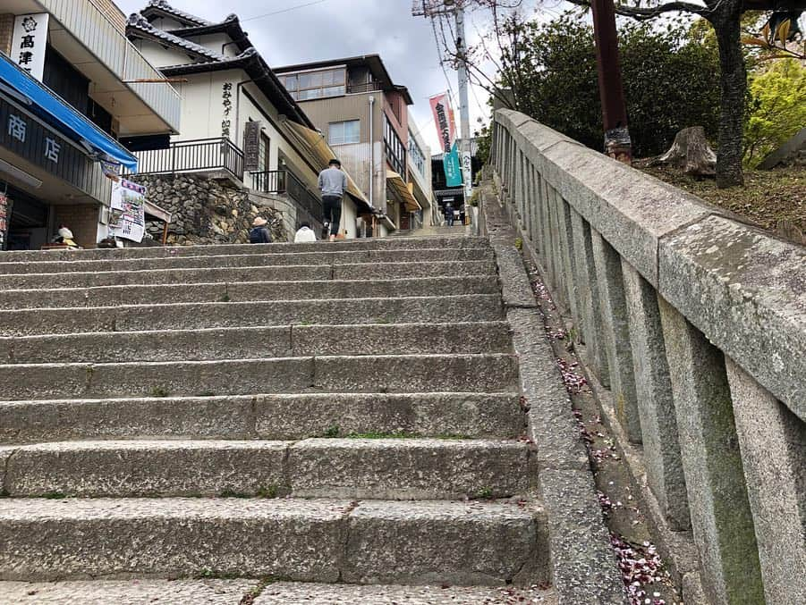 白石みきさんのインスタグラム写真 - (白石みきInstagram)「先日 田中麗奈ちゃんにお誘いいただき  こんぴら歌舞伎を観てきました💕 なんて贅沢な経験。  歌舞伎を観る前日は麗奈ちゃんの友人である香川親善大使の 木内晶子ちゃんに案内していただき金刀比羅宮にも登ってきました。  御本宮まで785段（正確には786段なんですが、な・や・む になるから785段にしたそうです！） きつかったけれど（その日のうちにふくらはぎが筋肉痛にw）、途中美しい しだれ桜や芽吹き始めた新緑に癒されたり。 登りきった後には、美しい三角形の山 讃岐富士や香川の街並みを眺めながら深呼吸。  出会いに感謝。 麗奈ちゃん 晶子ちゃん ありがとうございました❤️ ・ ・ #香川 #高松 #こんぴら歌舞伎 #金刀比羅宮 #讃岐富士 #trip」4月19日 22時27分 - miki_shiraishi1115