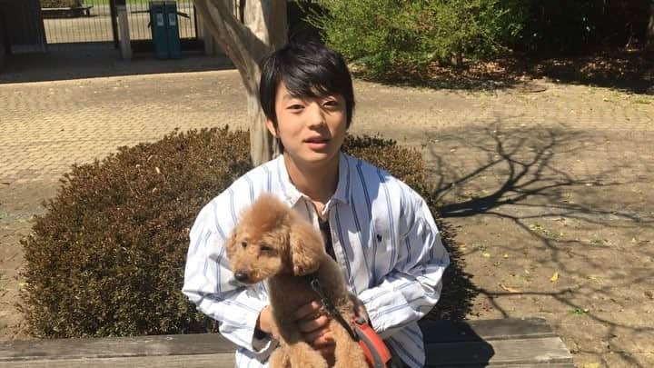 伊藤健太郎のインスタグラム：「伊藤健太郎が、『もふもふモフモフ 平成最後スペシャル』(NHK)に、伊藤レオくんと出演致します！ . 29日(月･祝) 18:05から放送です。ぜひご覧下さい！ . https://www6.nhk.or.jp/nhkpr/post/original.html?i=18502&cdi=bk-tw . @aoao_tt_  #aoao  #伊藤健太郎  #もふもふモフモフ  #堤真一 さん #愛犬  #今夜は平成最期のピンクムーン  #アシガール」
