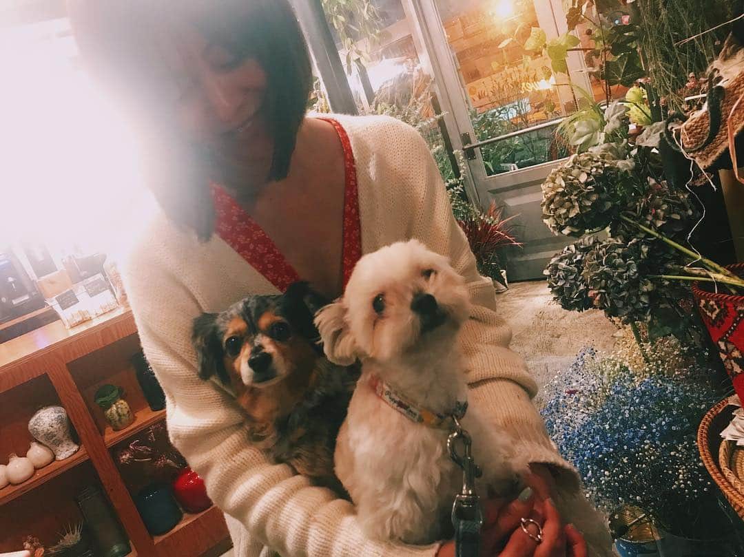 のインスタグラム：「はなきん。」