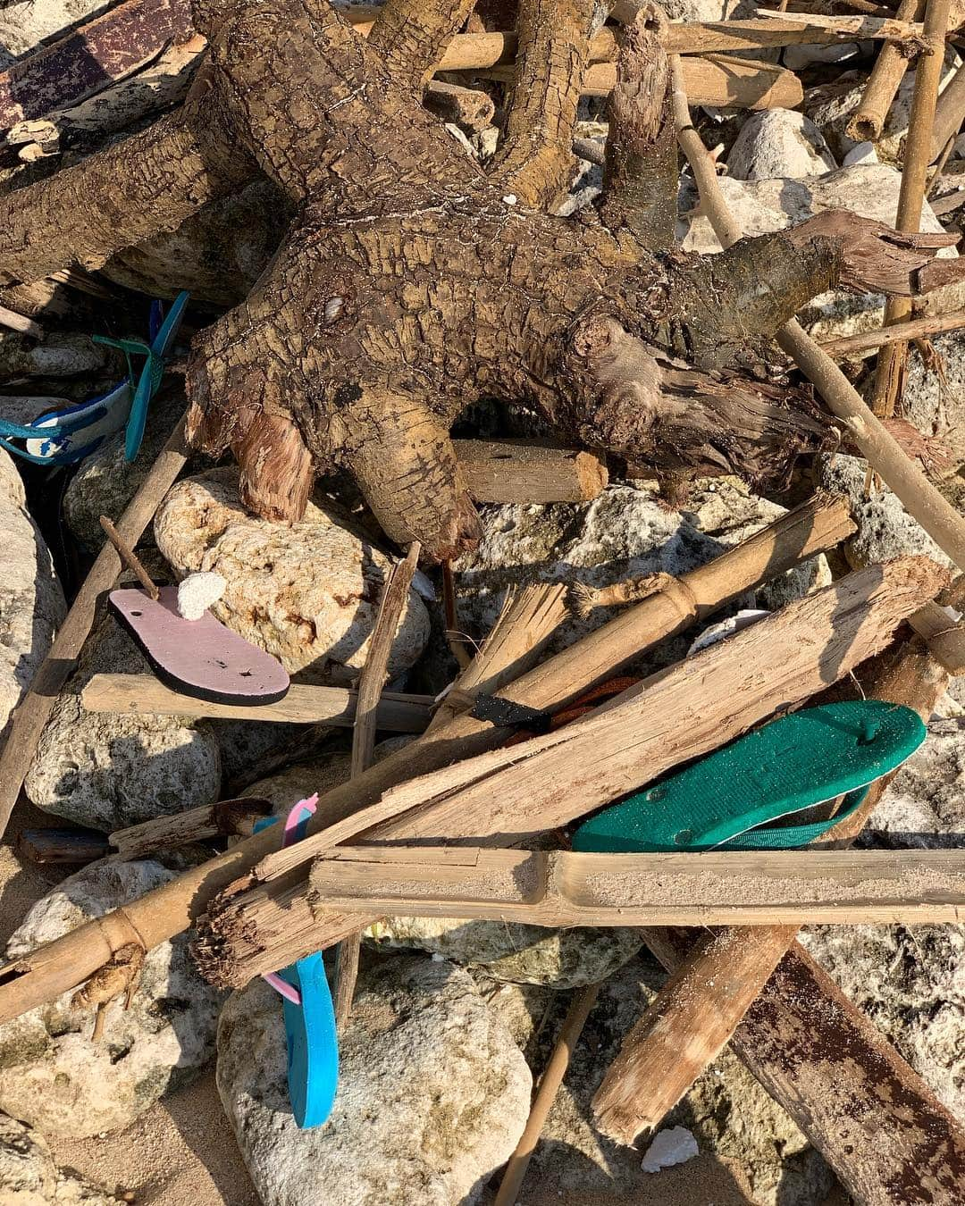 Inka Williamsさんのインスタグラム写真 - (Inka WilliamsInstagram)「I think there were at least 50 sandals today on 20mtrs of beach. This is why spending a little more and getting better quality items is more sustainable; as it will not end up as waste. It’s also a win for you as you won’t need to buy a new piece every time. We are over consuming and we need to start awakening to the destruction it is causing. Let’s start looking into what we buy and being more conscious 💛 Mama earth needs it and we are the last generation that can do something about it!」4月19日 23時01分 - inkawilliams