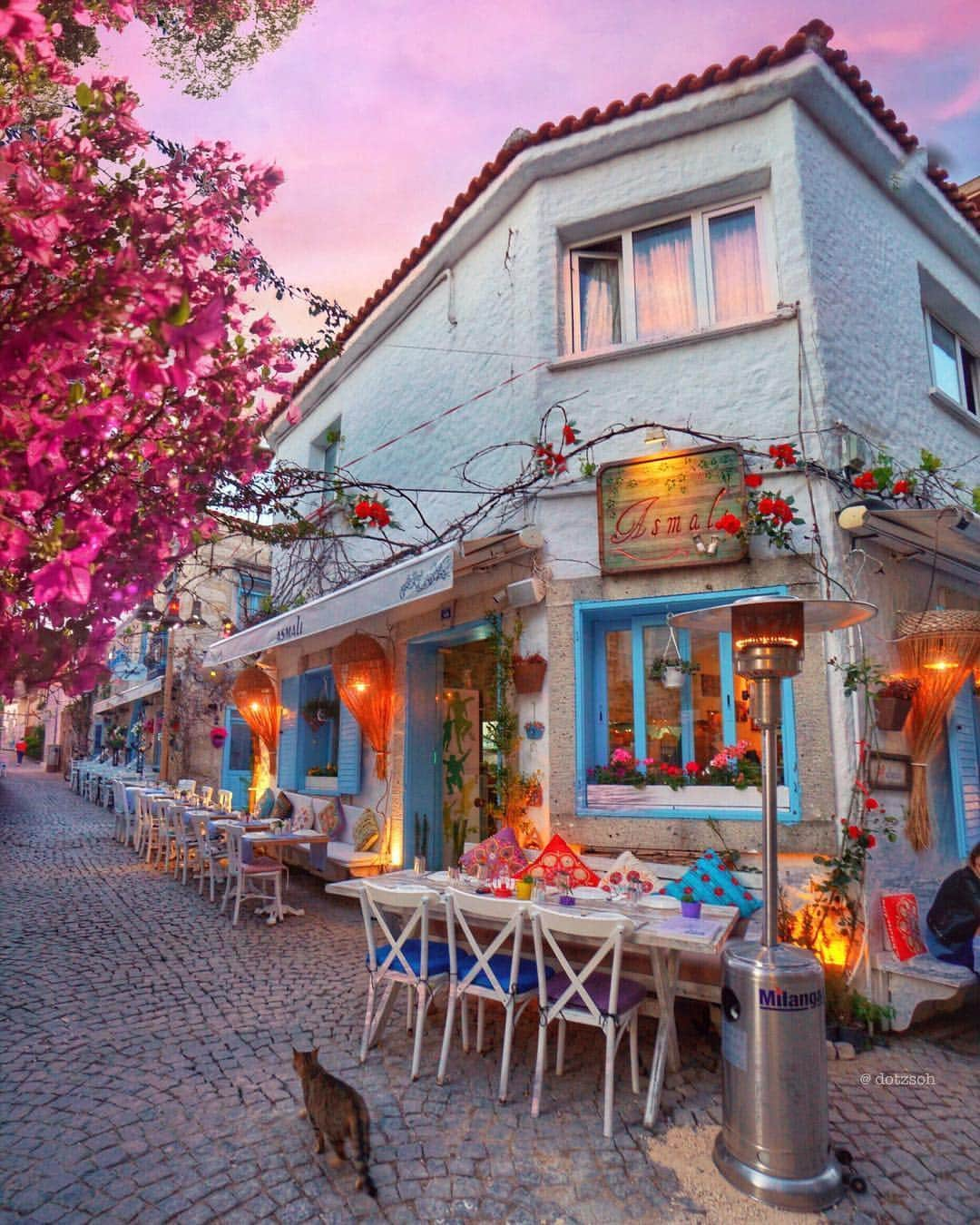 Padgramさんのインスタグラム写真 - (PadgramInstagram)「we live to discover beauty of the world ✨🌷🌸🐱🏠✨ lovely streets of #alacati #izmir #turkey . can’t wait to explore more of istabul with #inflowsummits  photo credit: @dotzsoh . #pgstar #pgdaily #planetgo」4月19日 23時17分 - planet.go