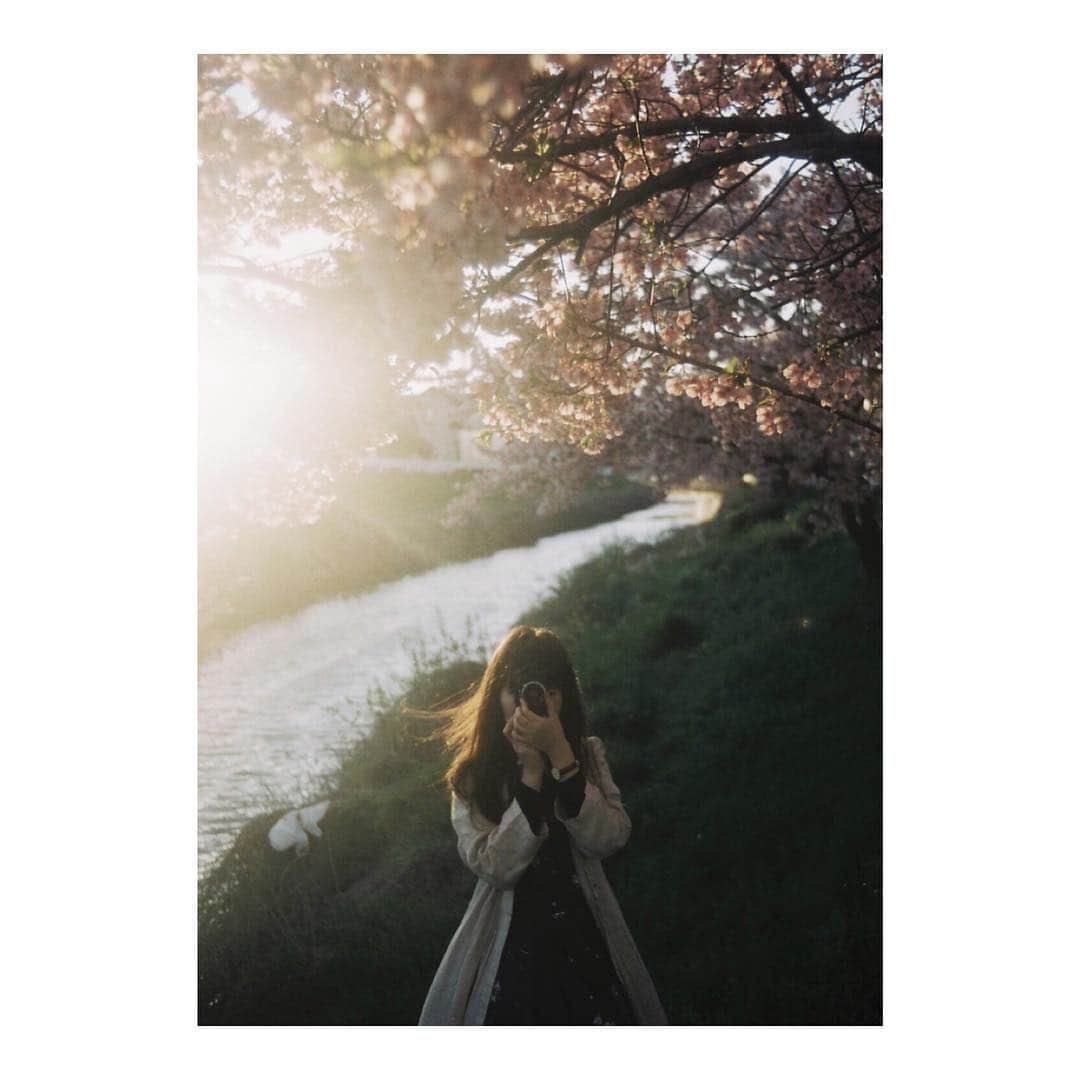 bambiflexのインスタグラム：「#film #filmisnotdead #film_com #igersjp #igersjapan #instagramjapan #instagood #instalike #ig_japan #vscocam #vscofilm #japan #フィルム」