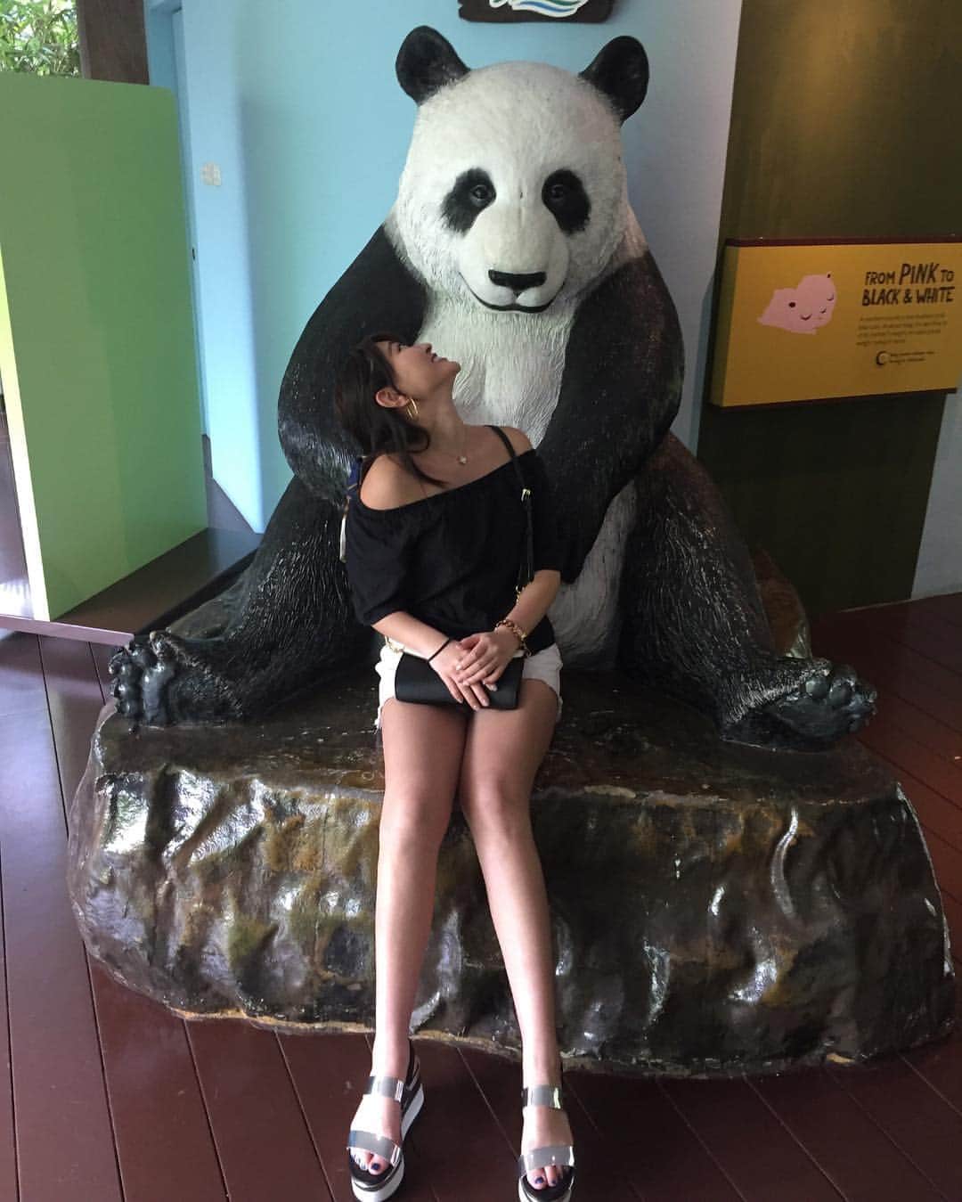 坂口莉果子のインスタグラム：「3月中に投稿したかったシリーズ2✈️ シンガポールの動物達は活発でずっと見ていても飽きなかった😊 めちゃめちゃ楽しかったシンガポールまた行きたい🇸🇬 ガーデンズバイザウェイ有料施設のチケット買えず行けなかったから今度リベンジしに行こ😂 ・ ・ ・ ・ ・ #旅行  #卒業旅行  #シンガポール  #リバーサファリ  #ナイトサファリ  #パンダ  #ワニ  #猿  #動物園  #海外  #zoo  #panda  #monkey  #aligator  #riversafari  #nightsafari  #singapore  #gardensbythebay  #trip  #🇸🇬」