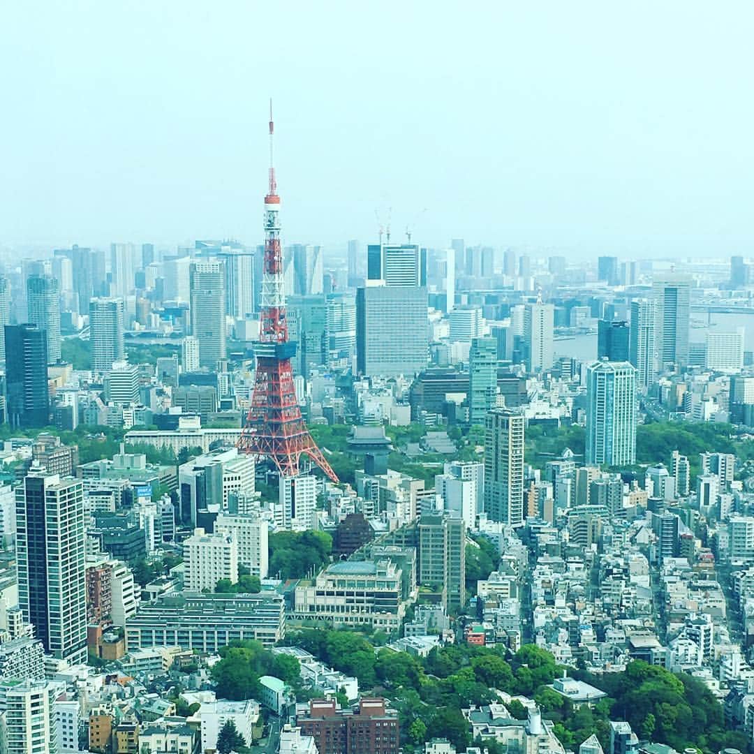 白羽ゆりのインスタグラム：「今日は、両親と東京観光。  こんな風に一緒に出掛けるなんていつぶりだろう？  沖縄旅行をプレゼントしようと思って話したら、東京観光がしたいと。  最初、えっ？東京？？ってビックリしたけど、今日はまた違った東京を感じることが出来て良かった。  高校生の頃、福島から関西へ。東京に住んで10年近く。気がつけば、もうすっかり東京に慣れている自分にも驚いた。  両親のとびっきりの笑顔を見て、心から嬉しく思った。こういう時間も大切にしていきたい。」