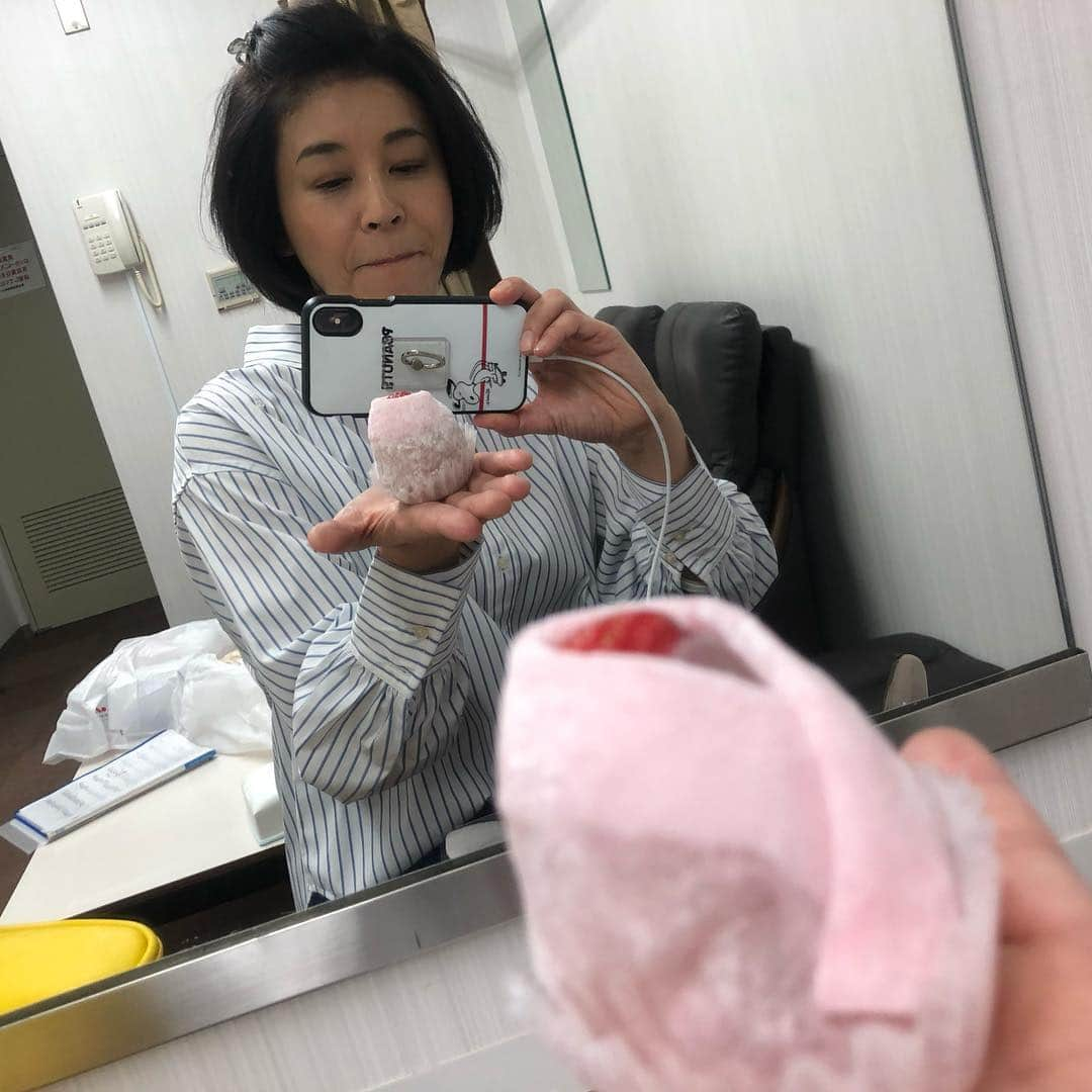 高嶋ちさ子さんのインスタグラム写真 - (高嶋ちさ子Instagram)「楽屋でいちご大福を激写するの図 今日は差し入れがたっくさんで本当に幸せ〜！しかも大好きないちごがこれでもかってほど！トマトまで参加して、食べるのに大忙しでした。 コンサートは大盛り上がり！個人的な課題はありますが、次回に向けてまた頑張ります 夜はノンアルコールメンバーとモツ鍋。所要時間1時間30分。 やっぱ飲まない生活って時短だね。 明日早いのでおやすみなさい😴」4月19日 23時29分 - chisakotakashima