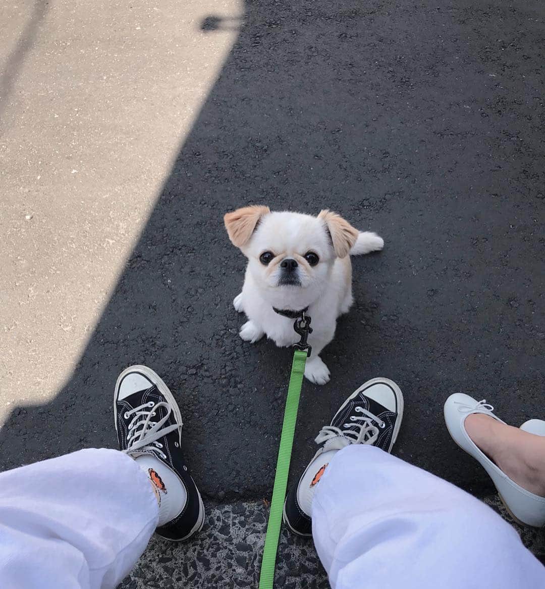 おもちくんのグルメインスタ